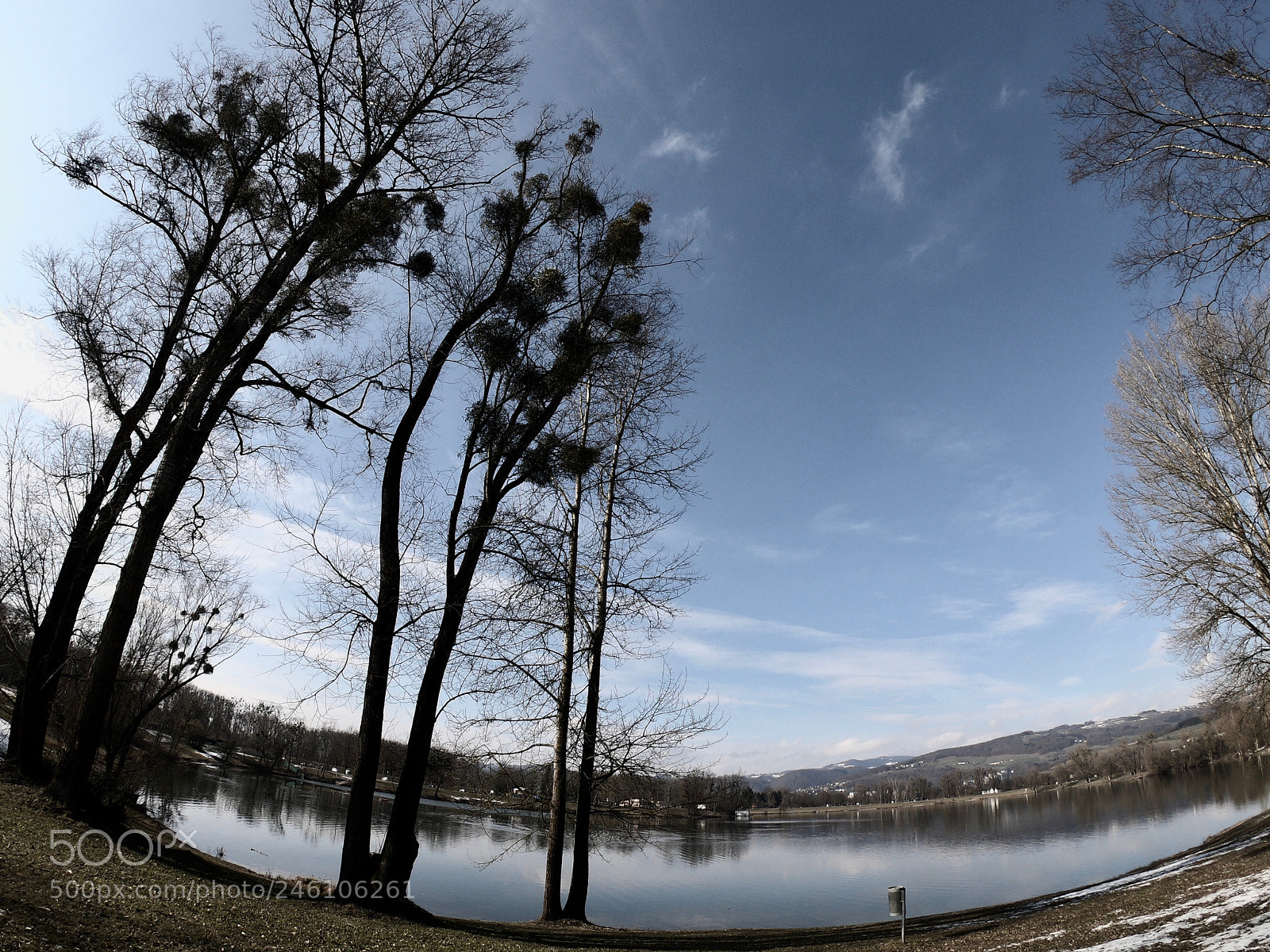 GoPro Hero6 Black sample photo. Trees photography