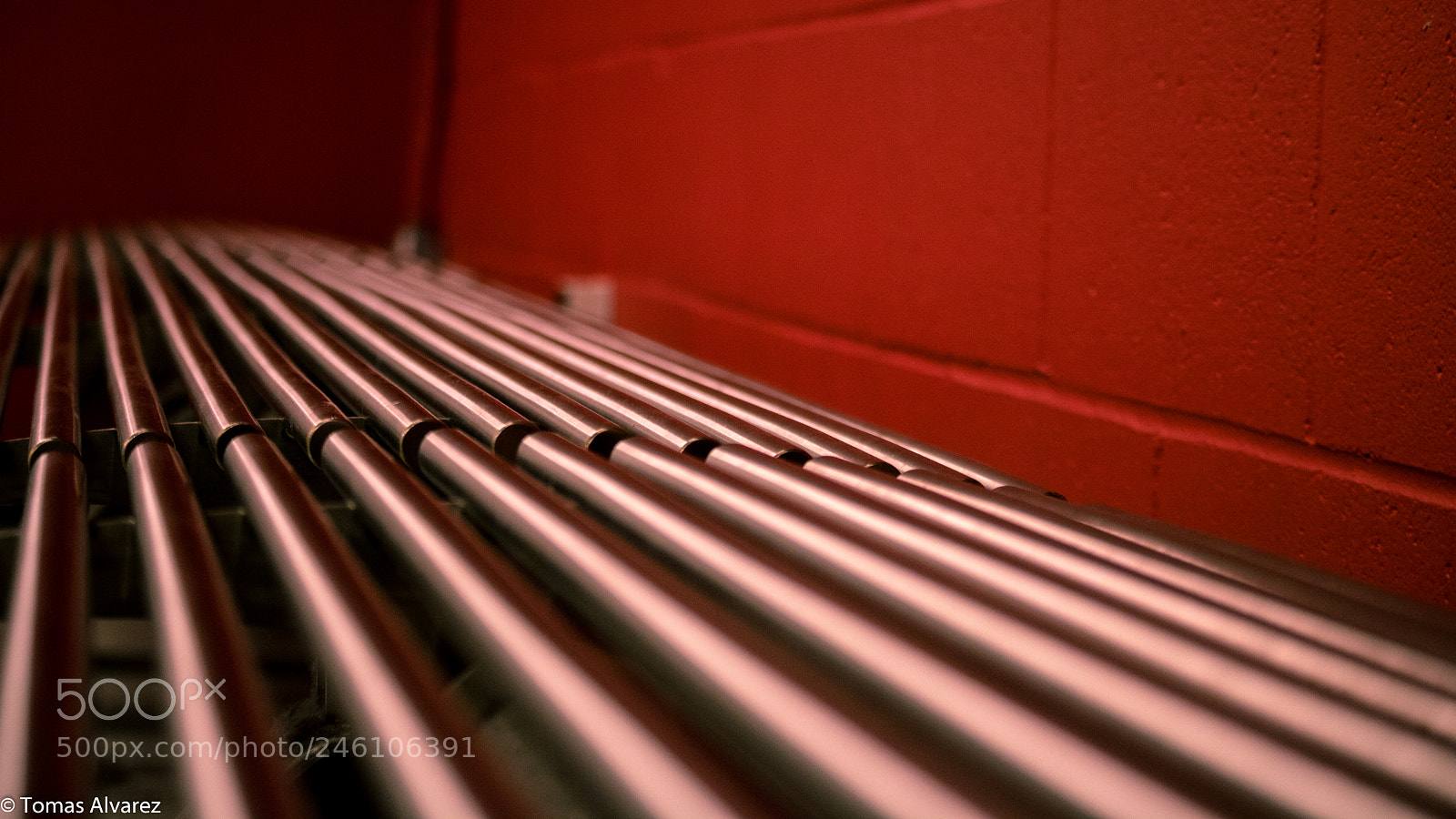 Canon EOS 750D (EOS Rebel T6i / EOS Kiss X8i) sample photo. What an interesting bench. photography