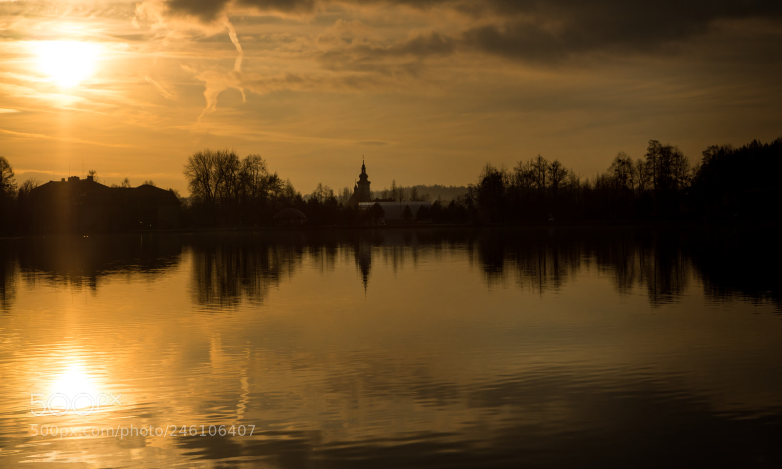 Olympus OM-D E-M10 sample photo. Winter gold photography