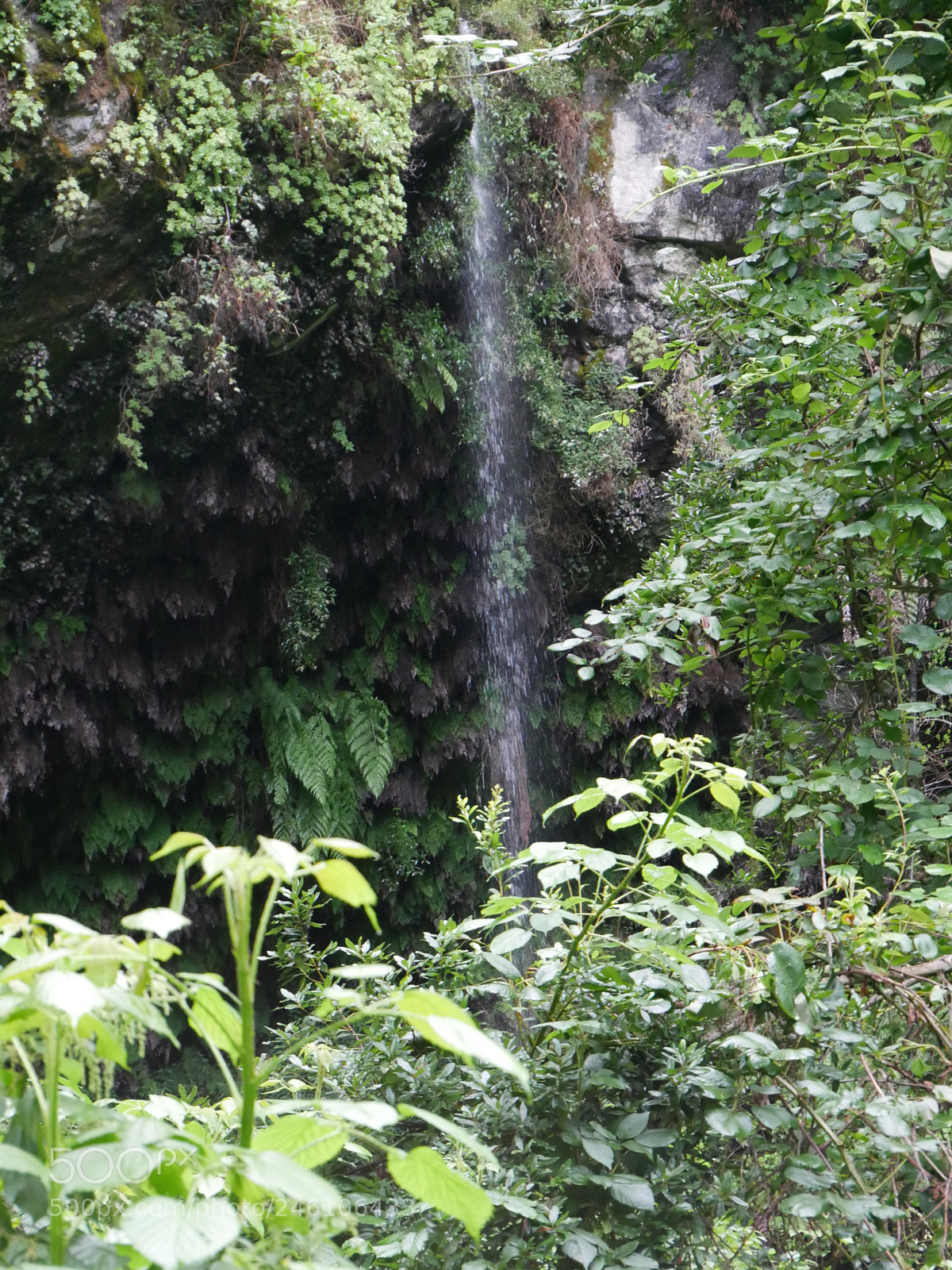 Panasonic DMC-G70 sample photo. La palma photography