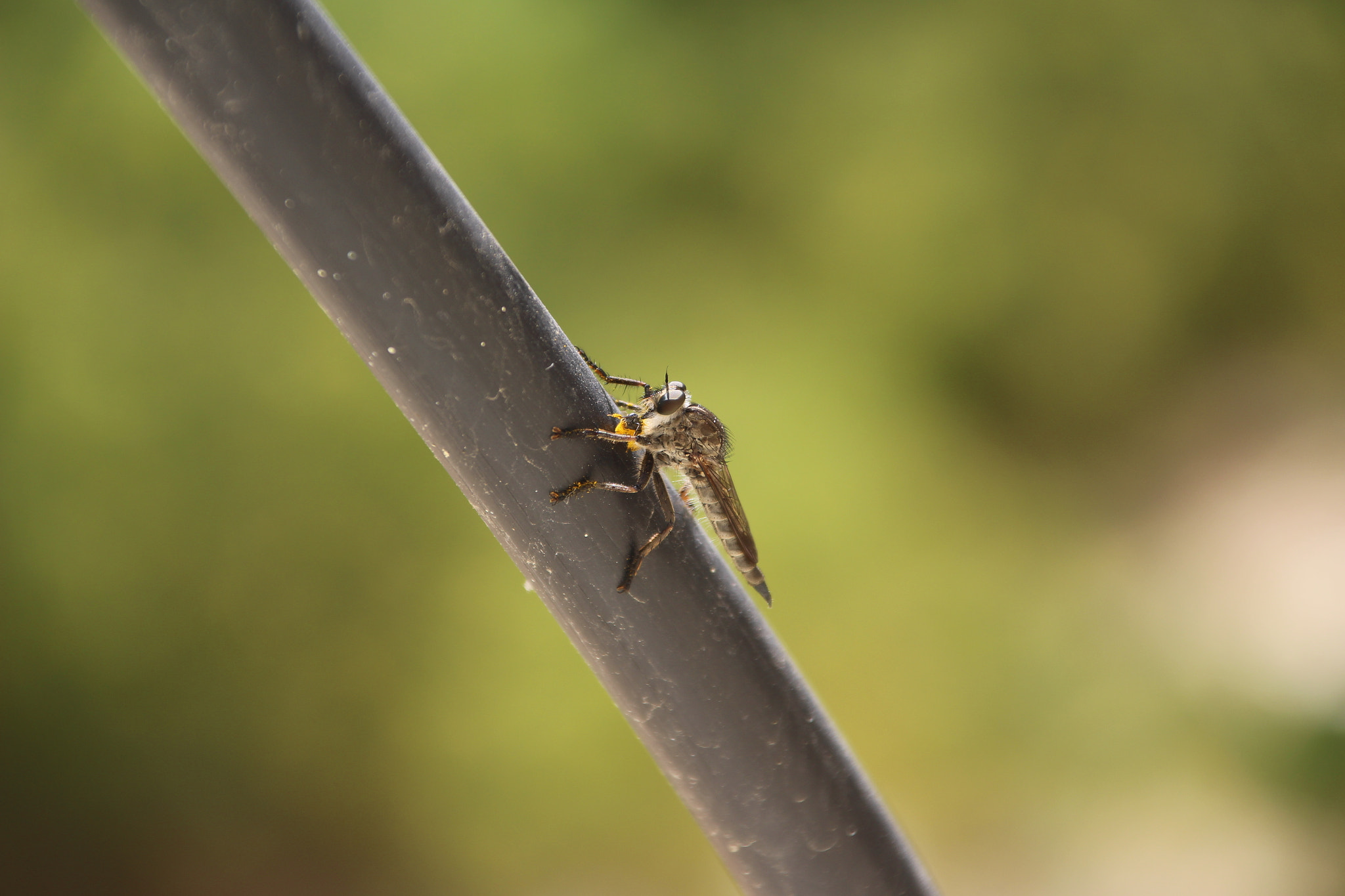 Canon EOS 700D (EOS Rebel T5i / EOS Kiss X7i) + Canon TS-E 90mm F2.8 Tilt-Shift sample photo. Seat photography