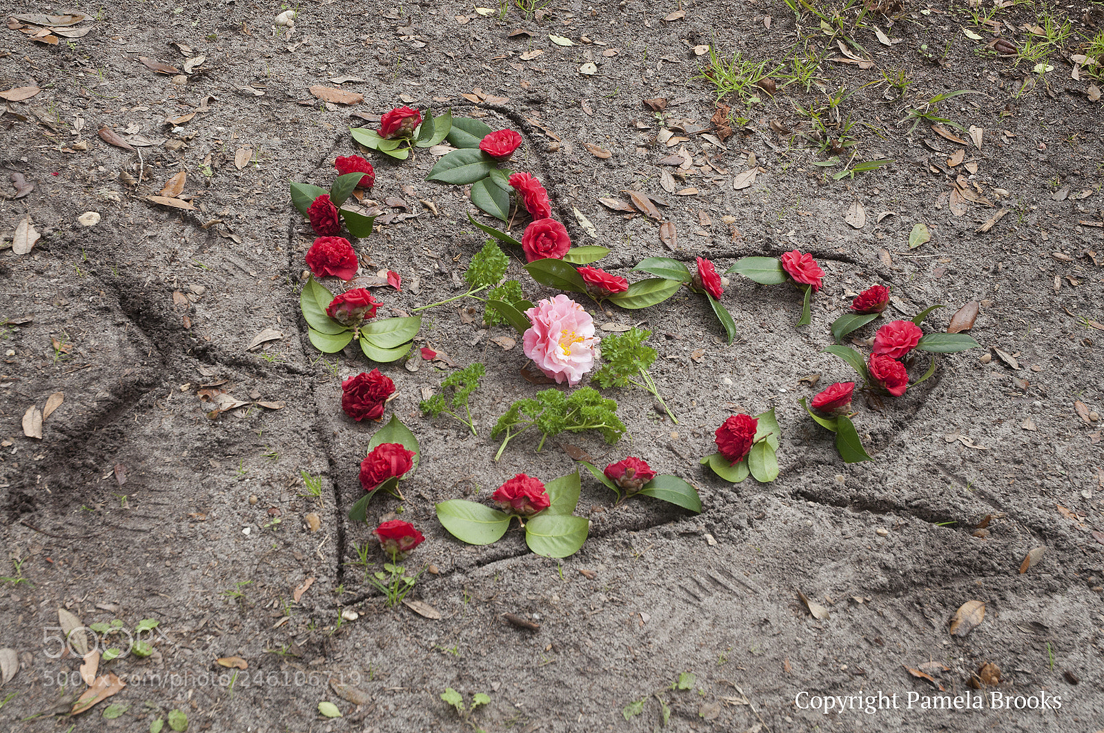 Nikon D90 sample photo. Valentines day photography