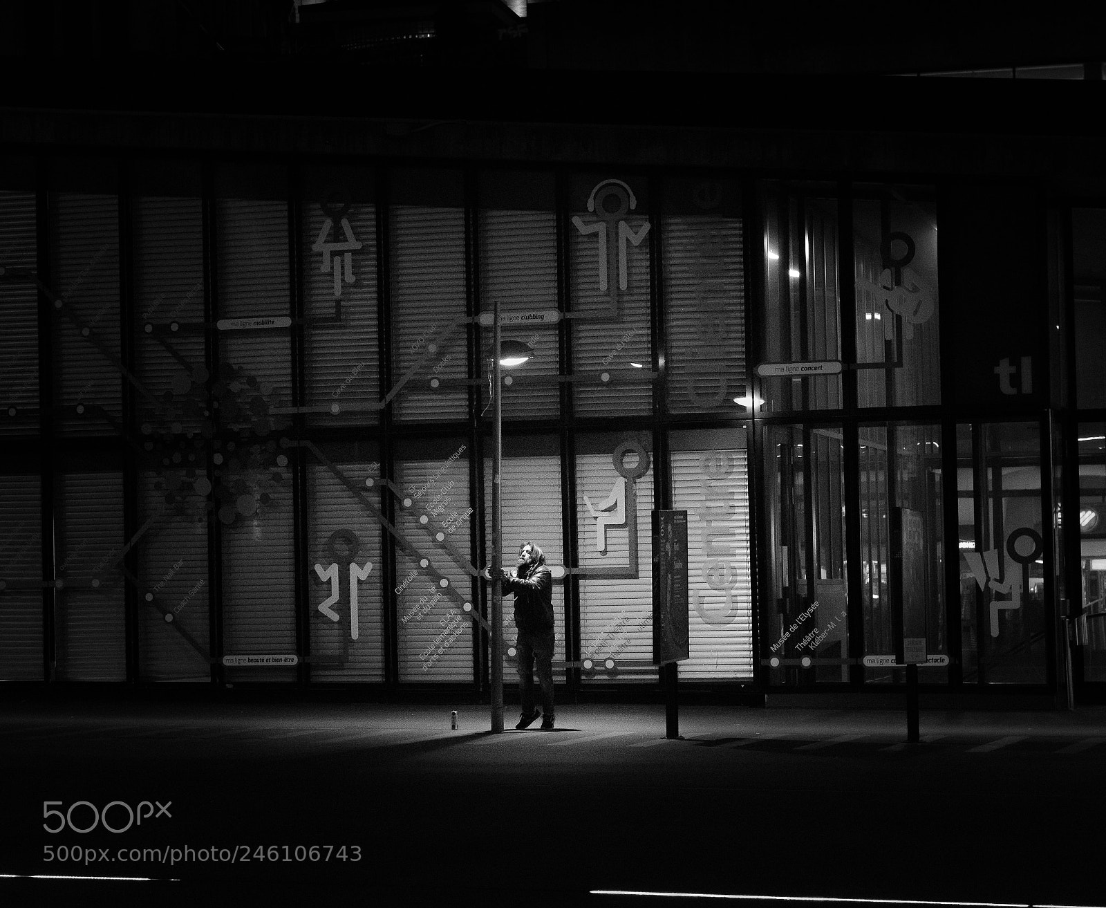 Nikon D500 sample photo. They..... bis photography