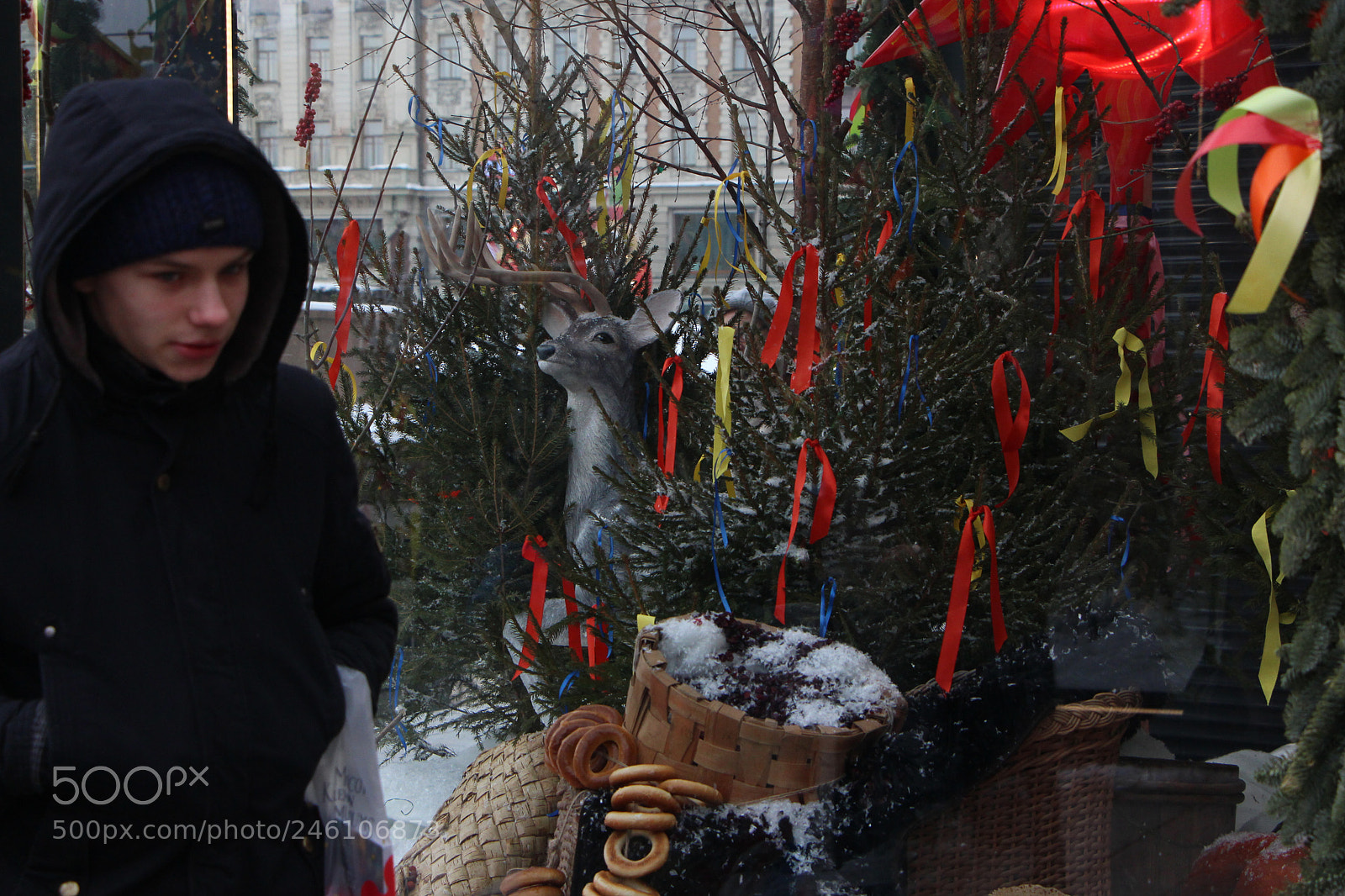 Canon EOS 700D (EOS Rebel T5i / EOS Kiss X7i) sample photo. Маслиница photography