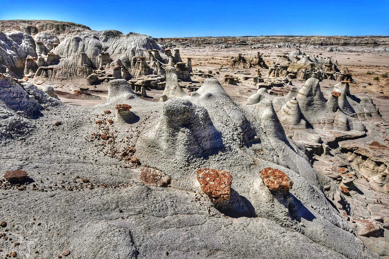Nikon D810 sample photo. Bisti wilderness, new mexico photography