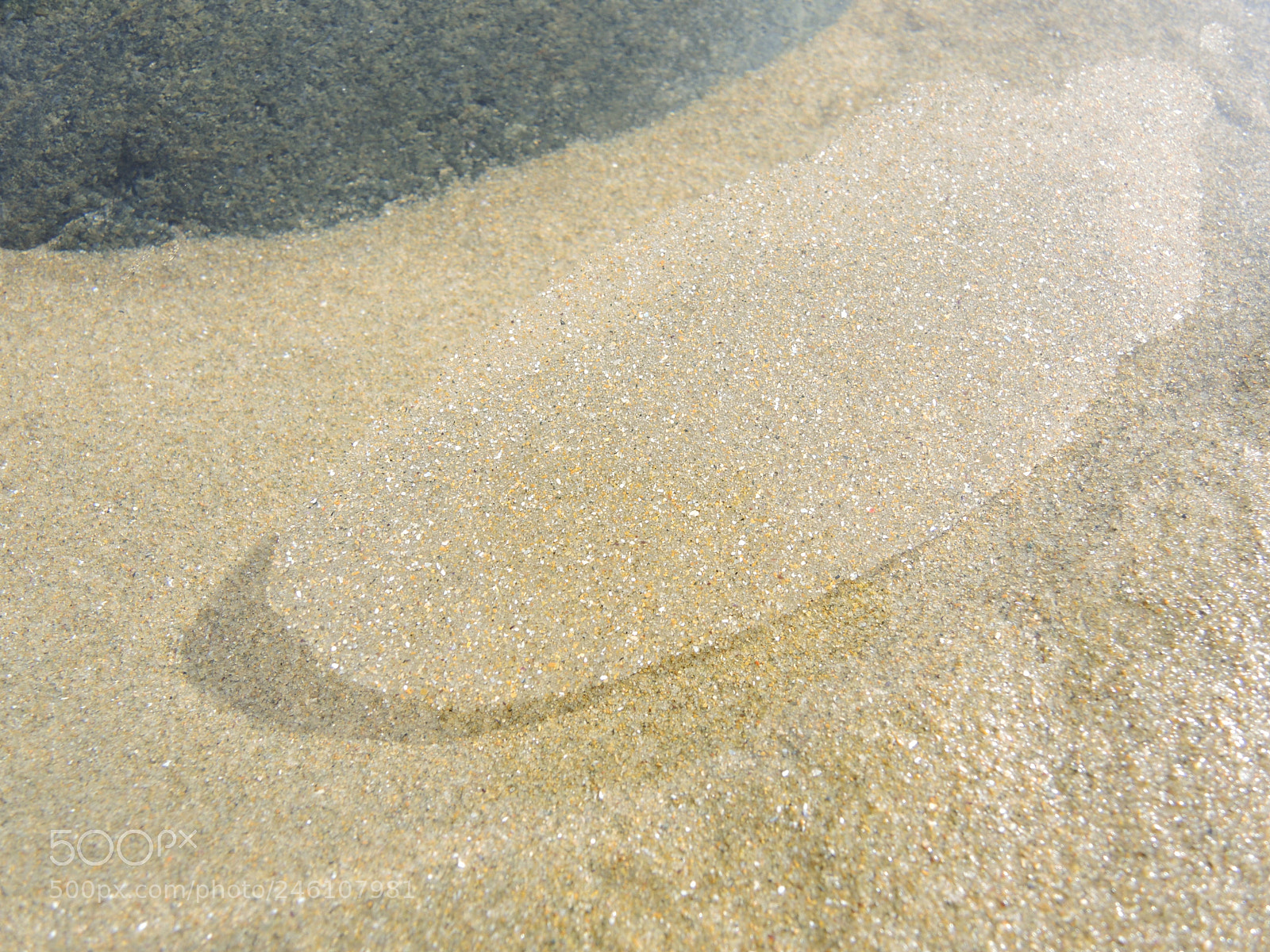 Nikon Coolpix P7700 sample photo. Sable flottant photography