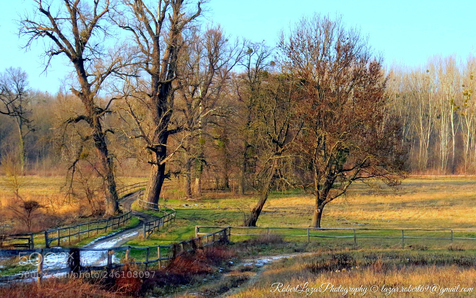 Canon PowerShot SX50 HS sample photo. Petronell castle park photography