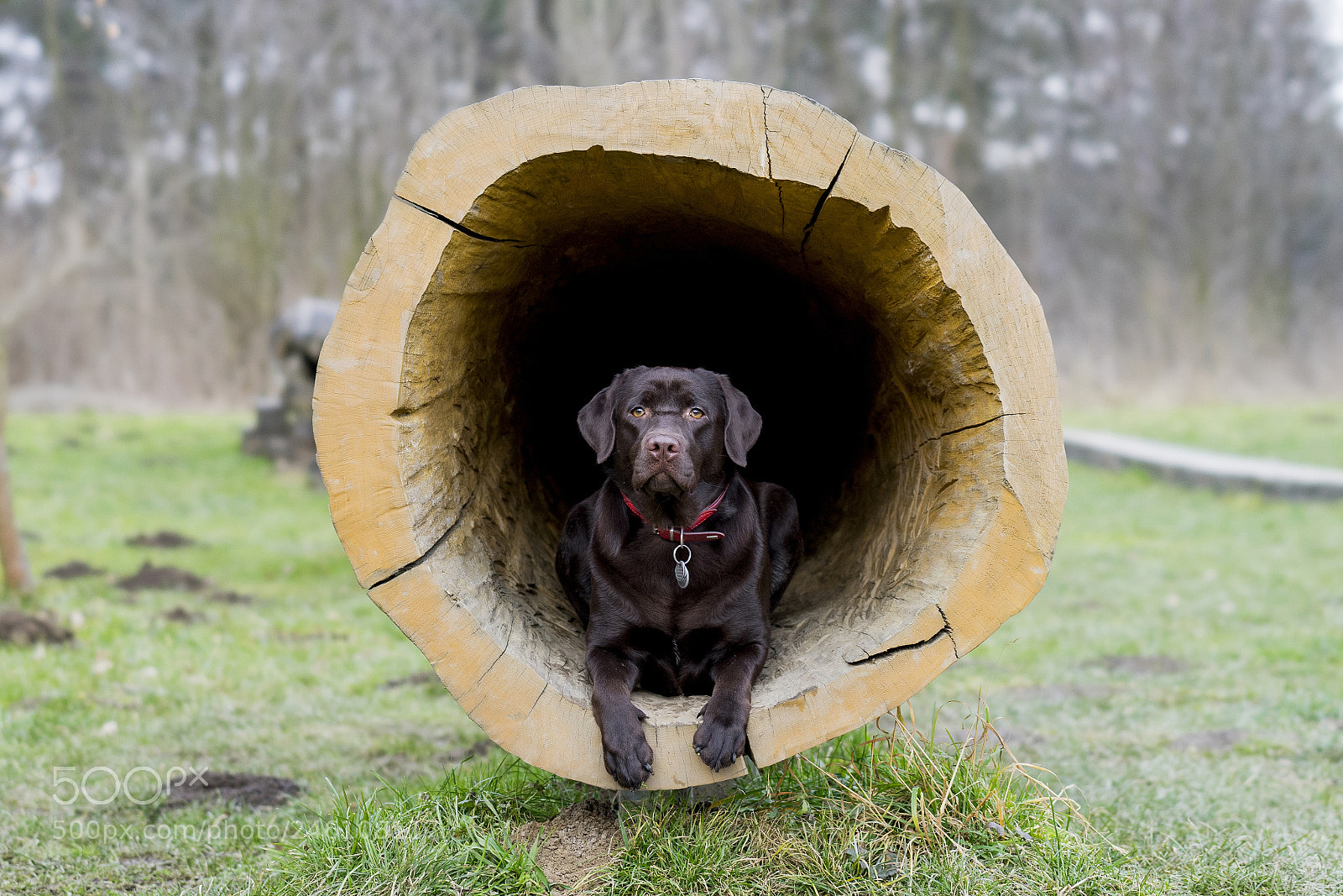 Sony a7 II sample photo. Dsc photography