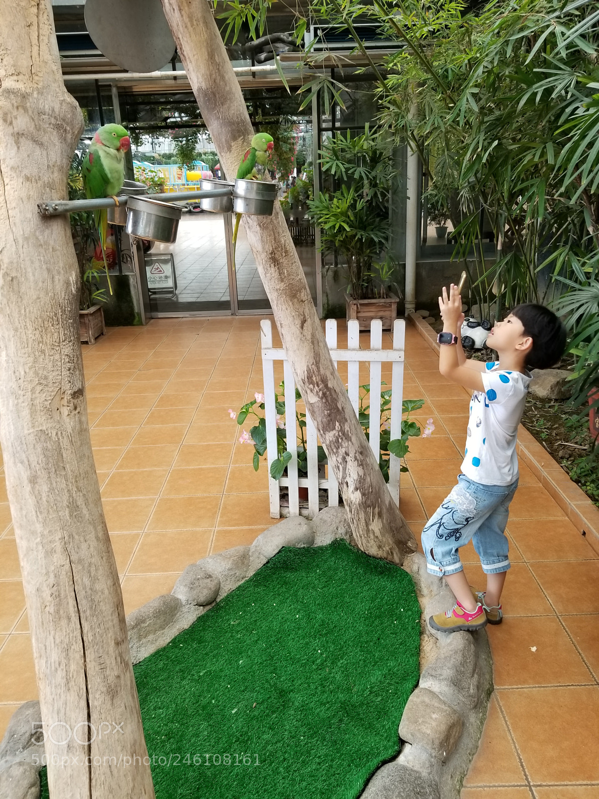 Samsung Galaxy S8+ sample photo. Behind the scenes of photography