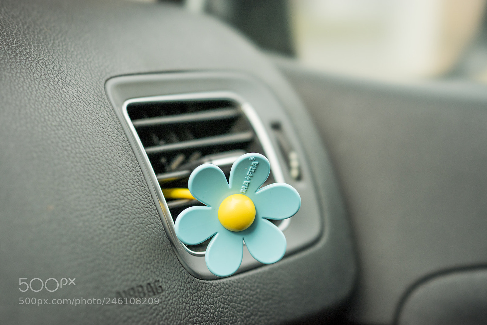 Sony a7 II sample photo. Dsc photography