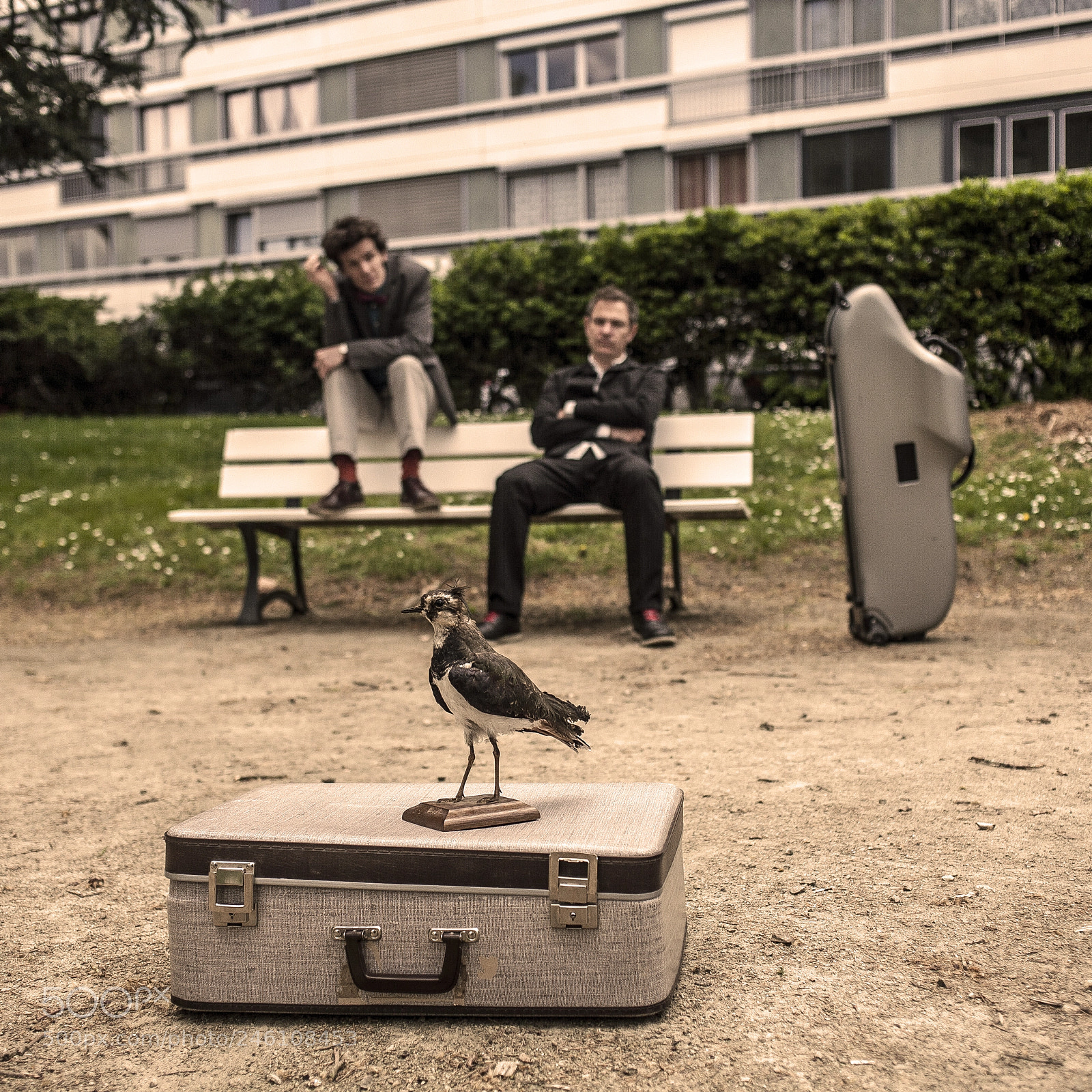 Canon EOS 5D sample photo. Cie le caillou pierre photography