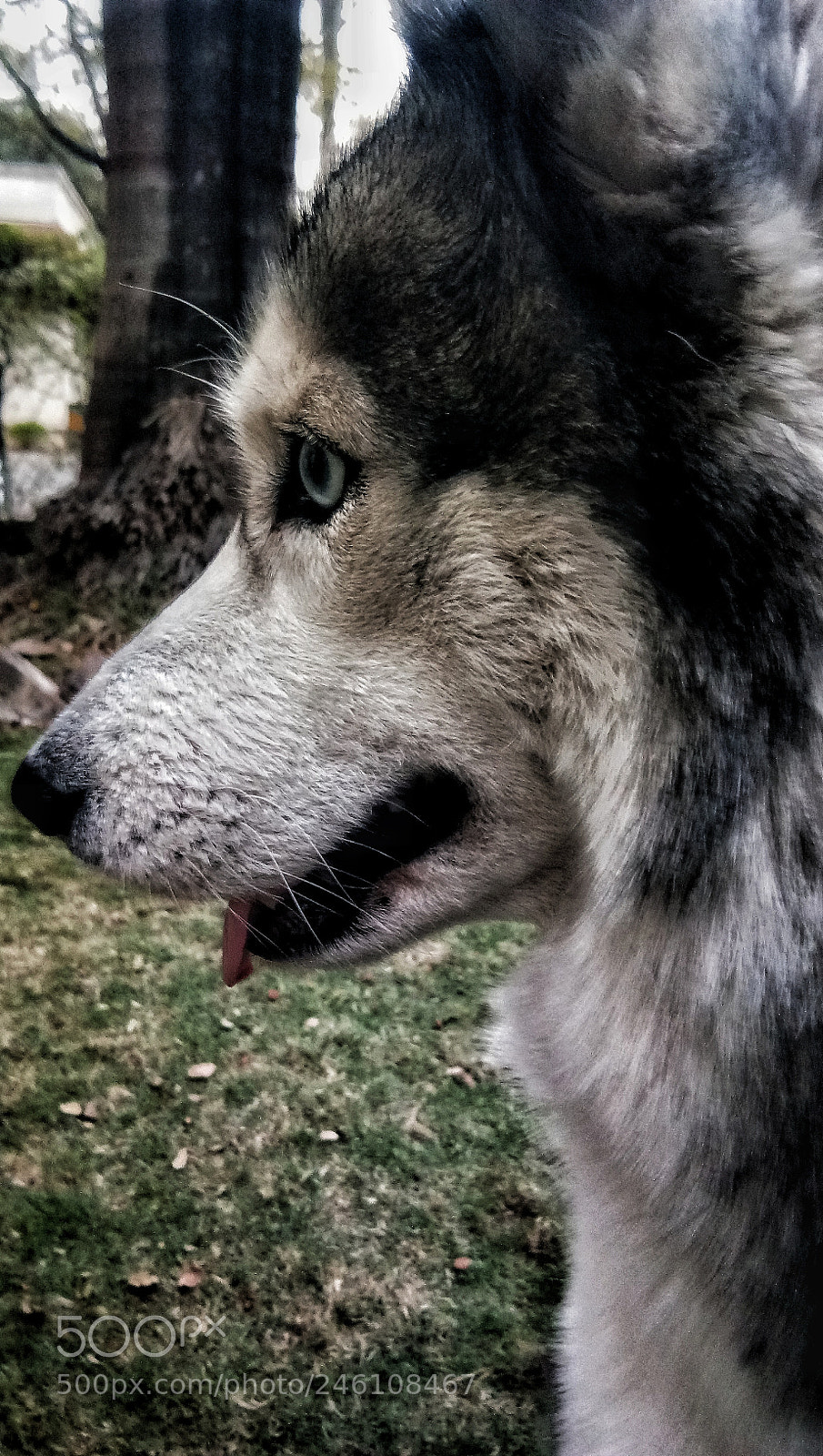 vivo 1601 sample photo. Untitled photography