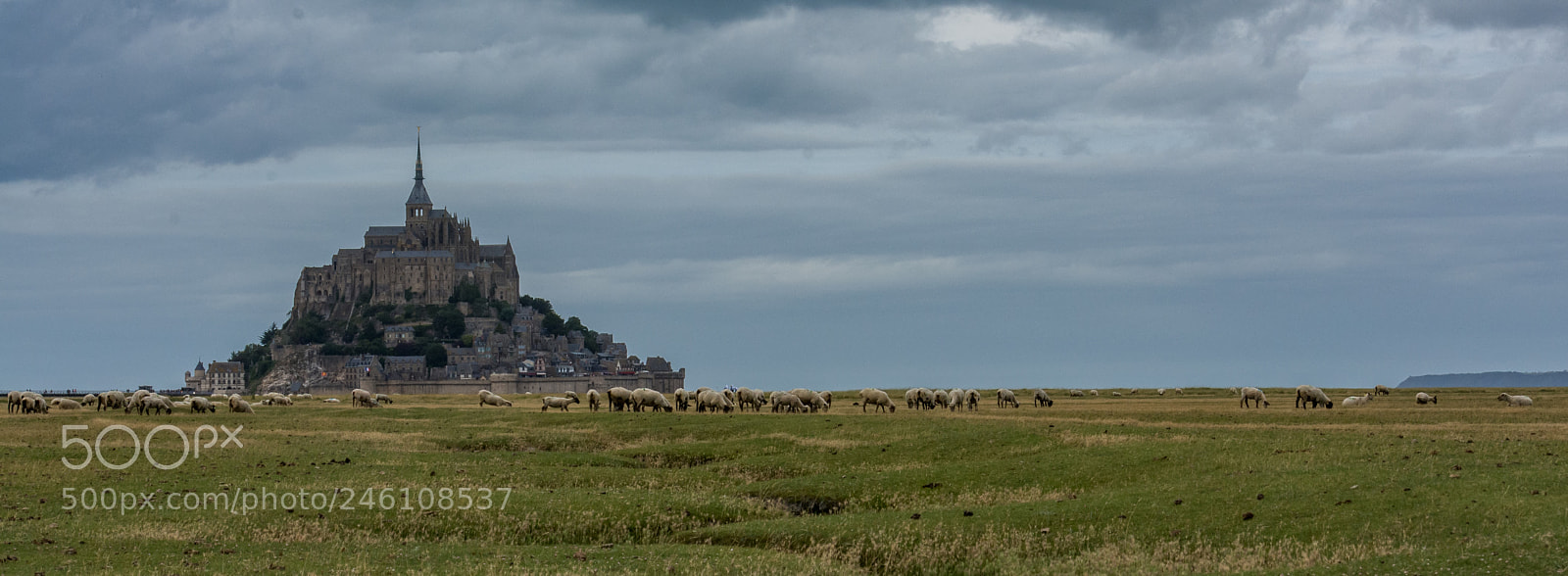 Nikon D7100 sample photo. Le mont-saint-michel photography