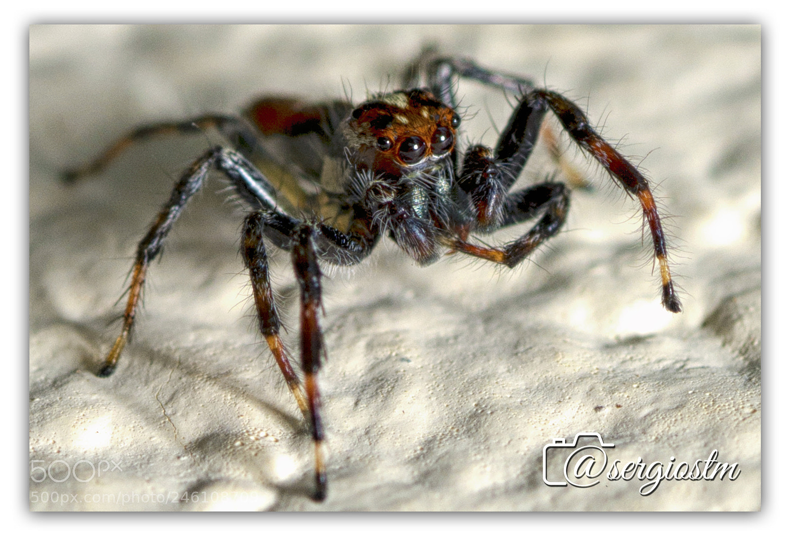 Nikon D7100 sample photo. Cb af baac fdfed photography