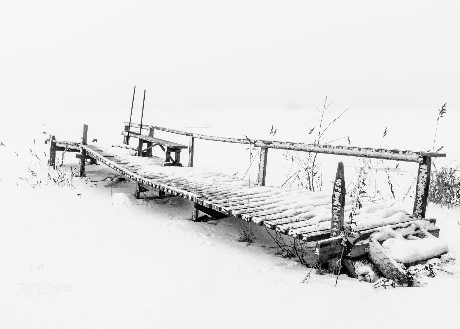 Nikon D5600 sample photo. Whiteout photography