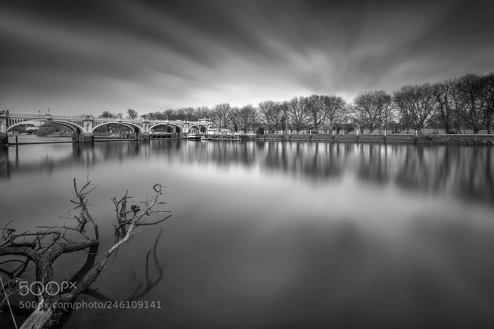 Sony a7R II sample photo. Driftwood photography