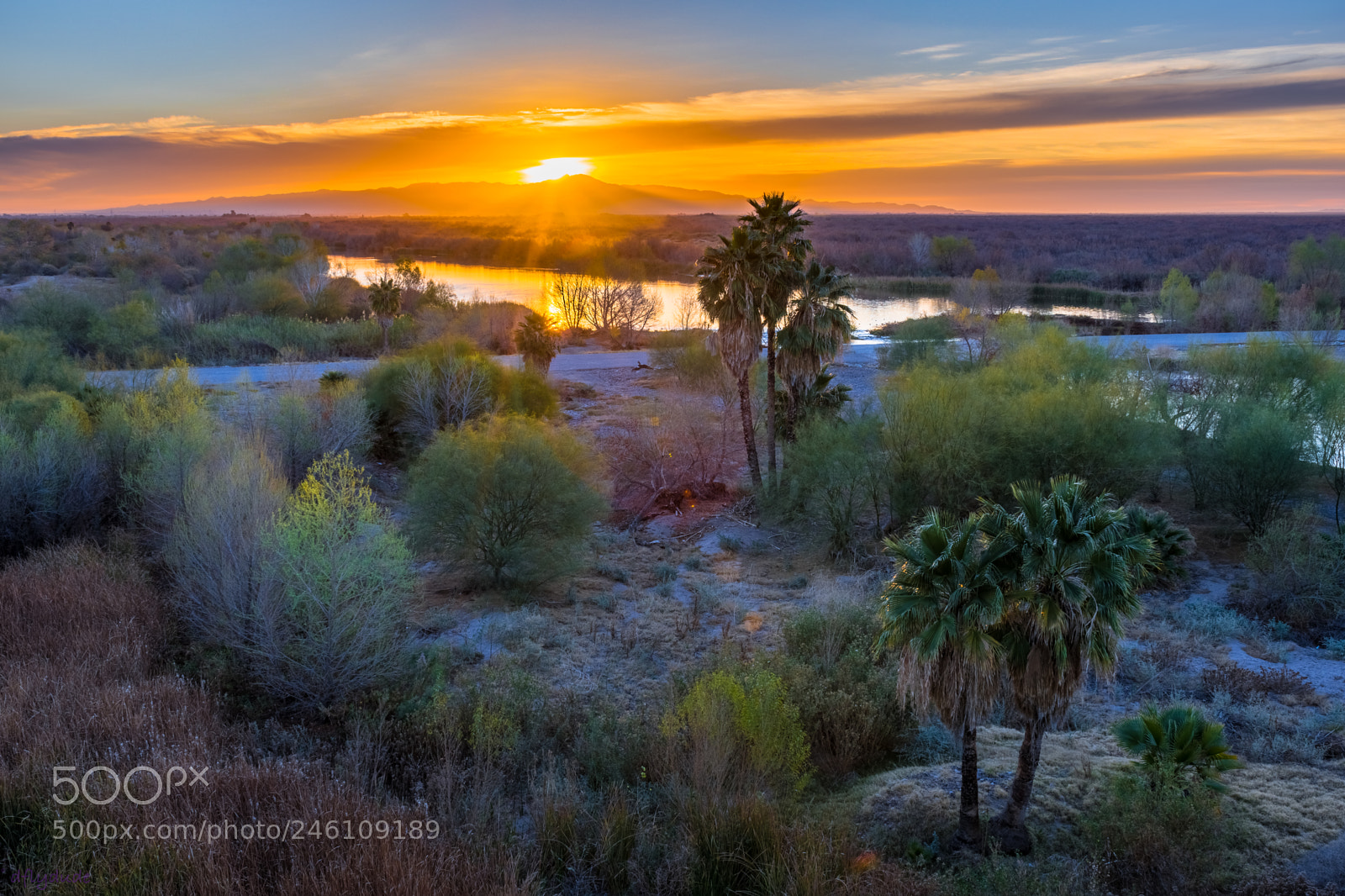 Nikon D5600 sample photo. Morning breaks 0448 photography