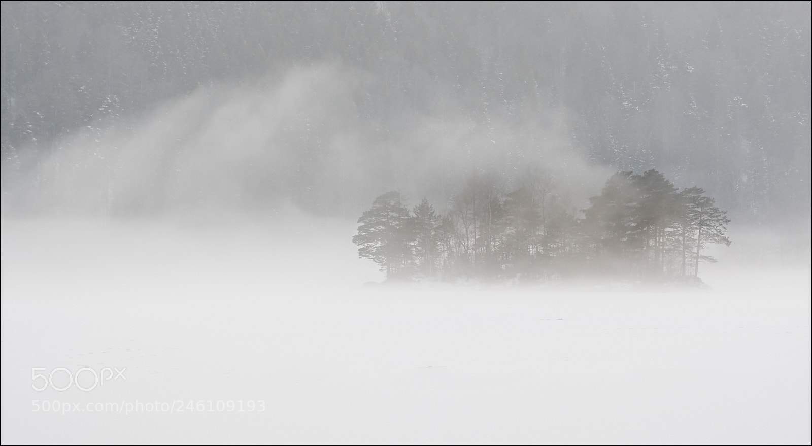 Nikon D7100 sample photo. °°° white °°° photography