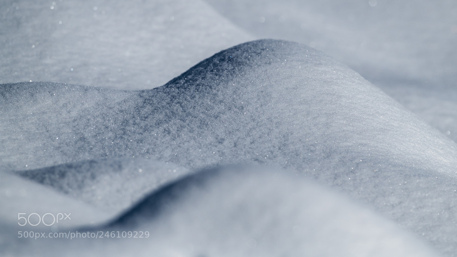 Nikon D850 sample photo. Snow dunes photography