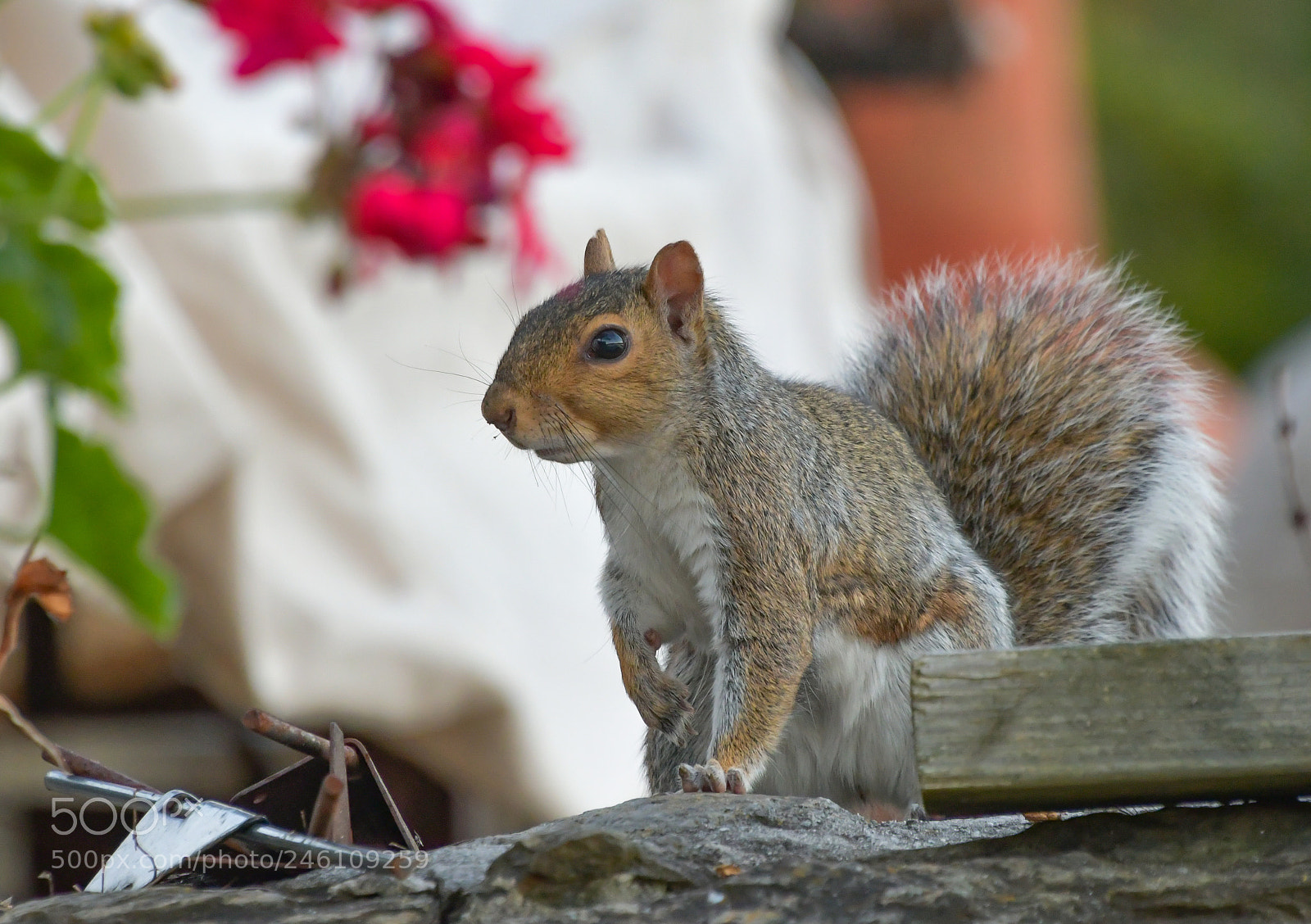 Nikon D7500 sample photo. Untitled photography