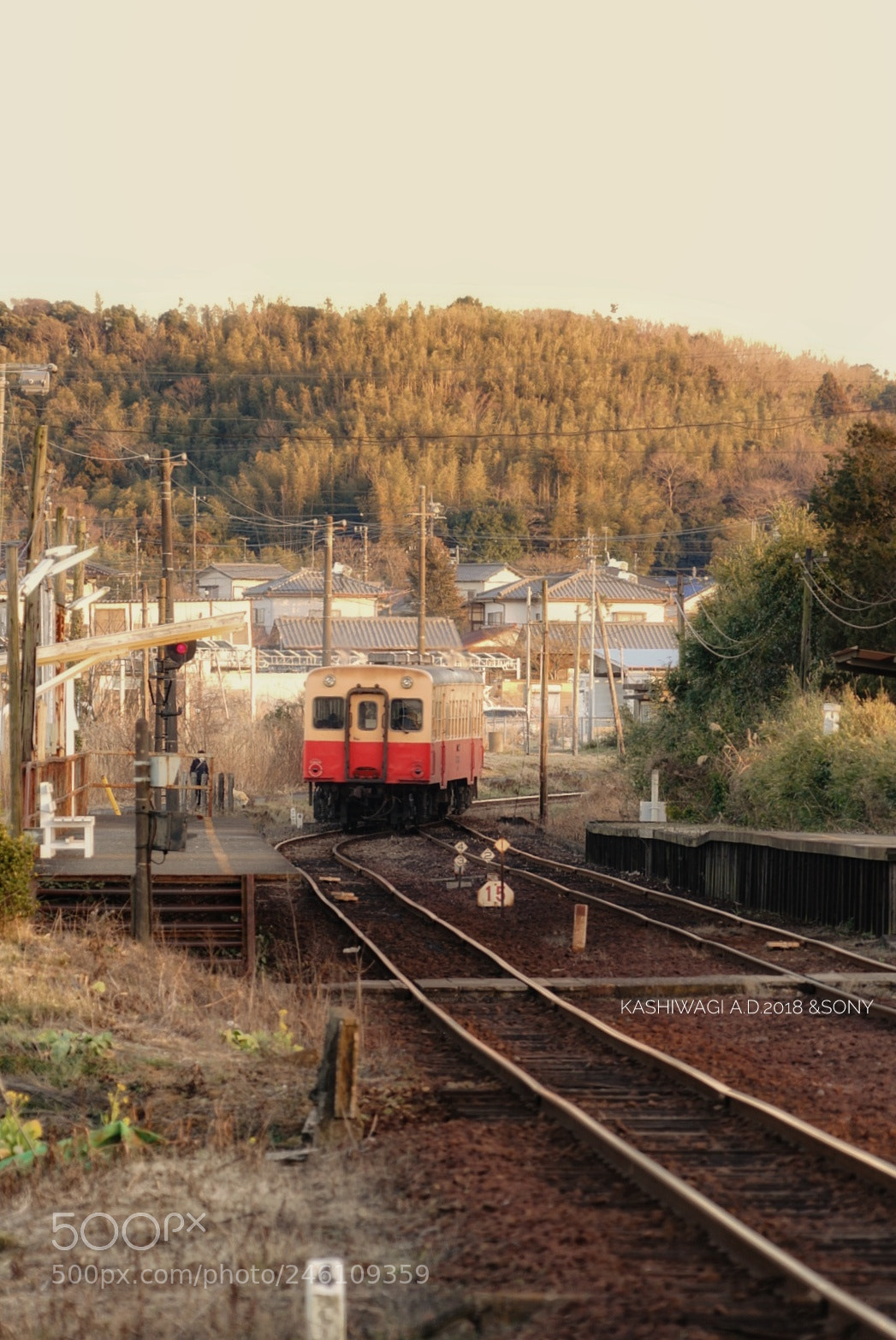 Sony a7 II sample photo. Nostalgia train in japan photography