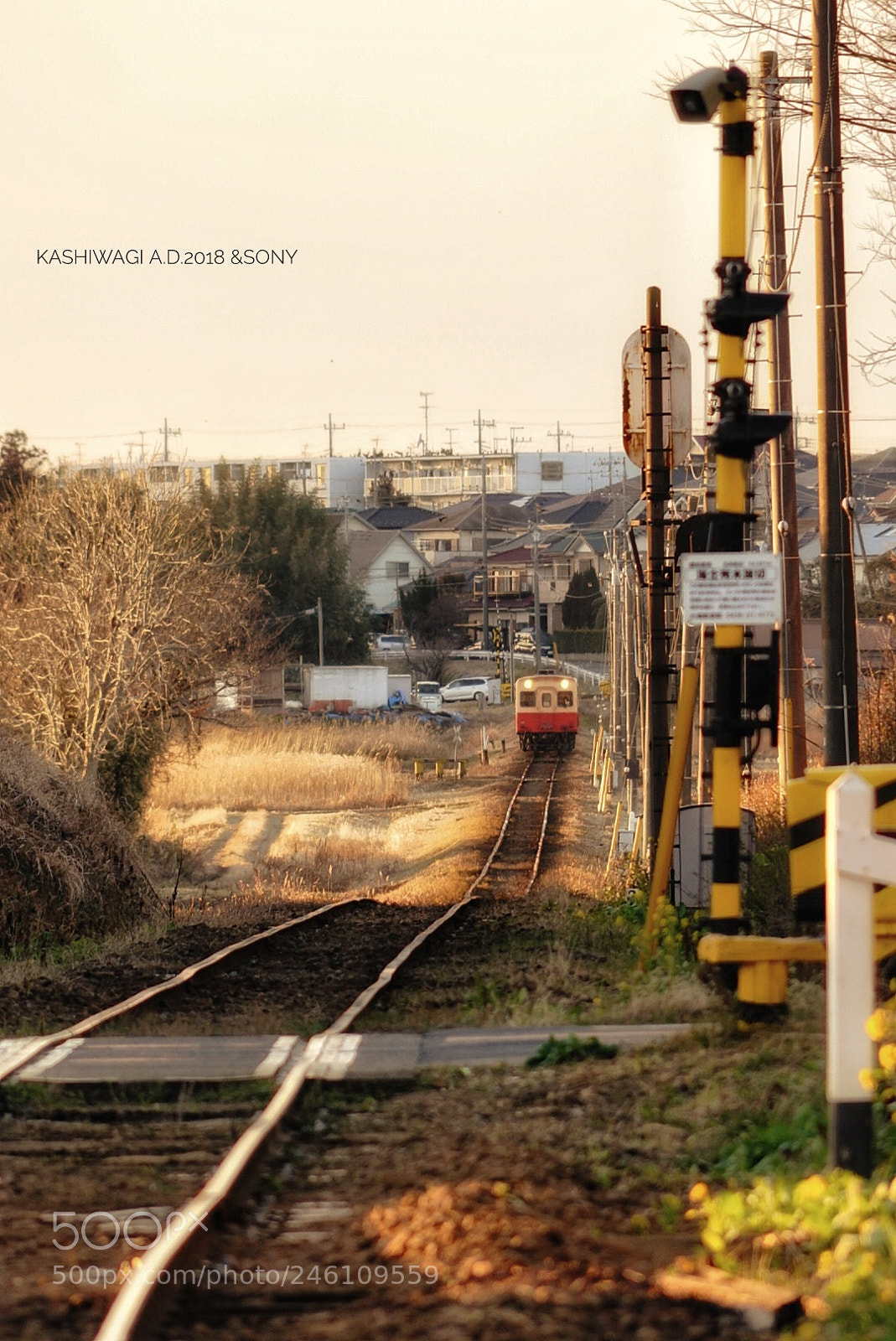 Sony a7 II sample photo. Nostalgia train in japan photography