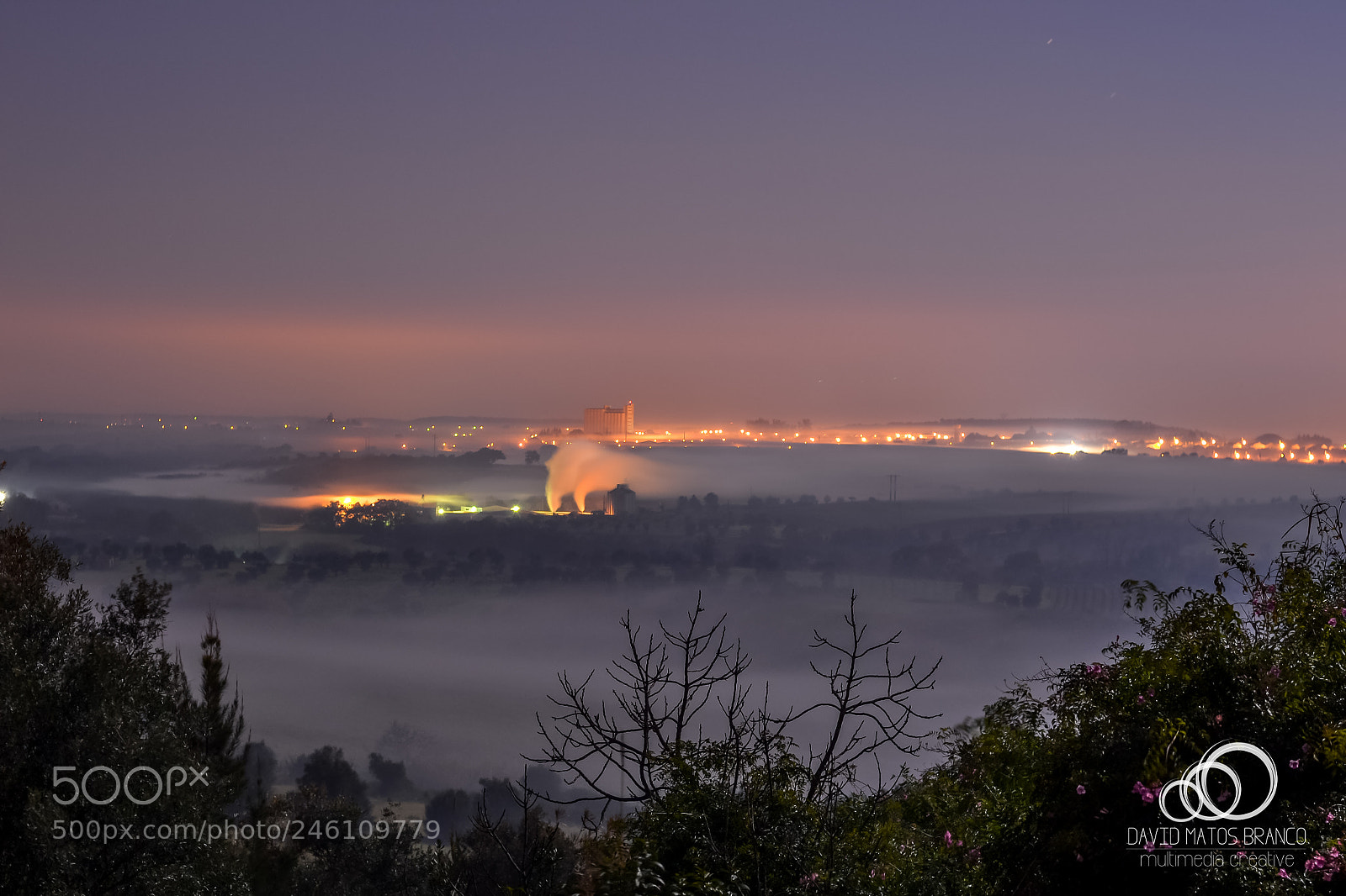 Nikon D3100 sample photo. Night fog photography