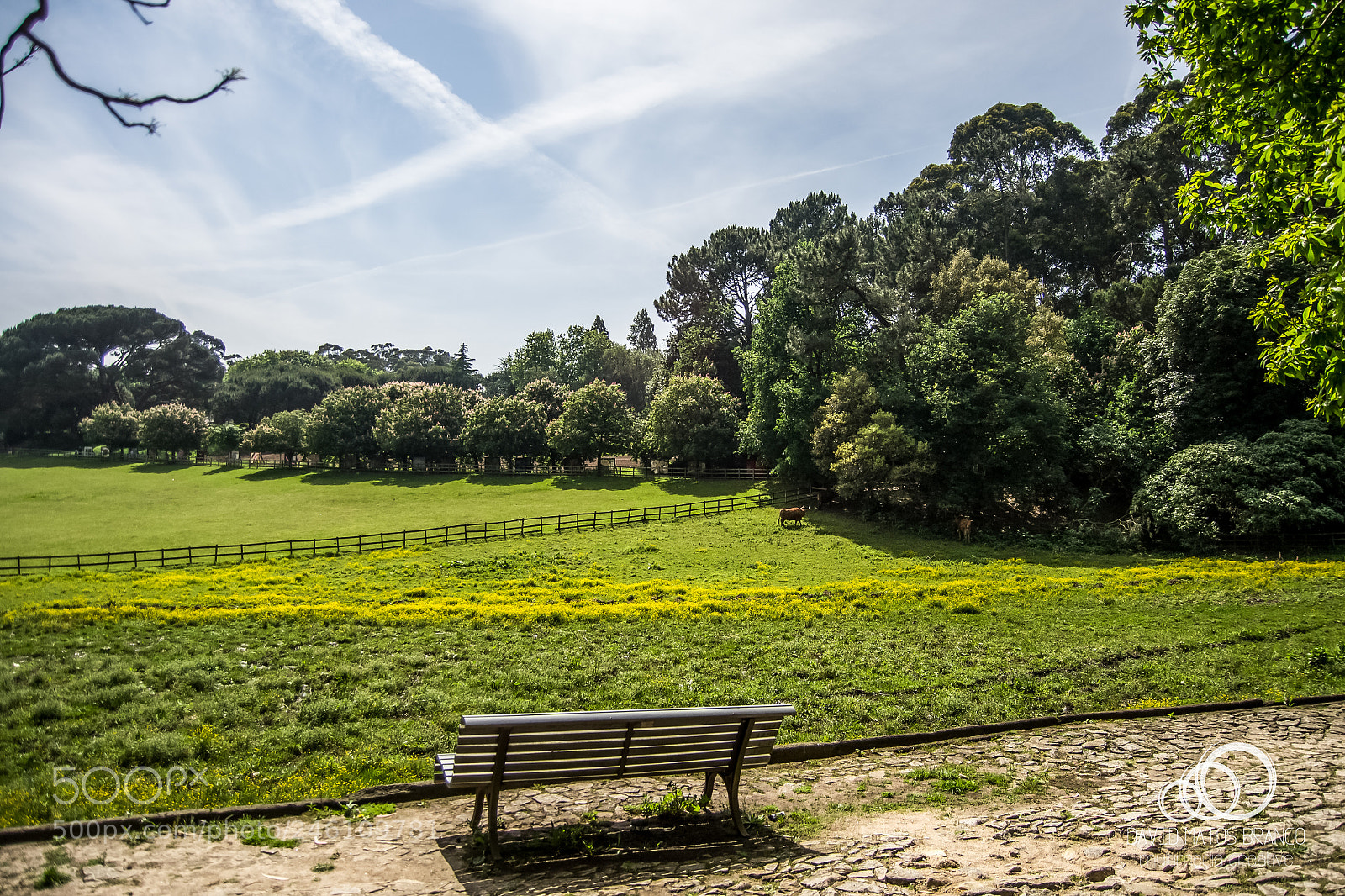 Nikon D3100 sample photo. Come and sit down photography