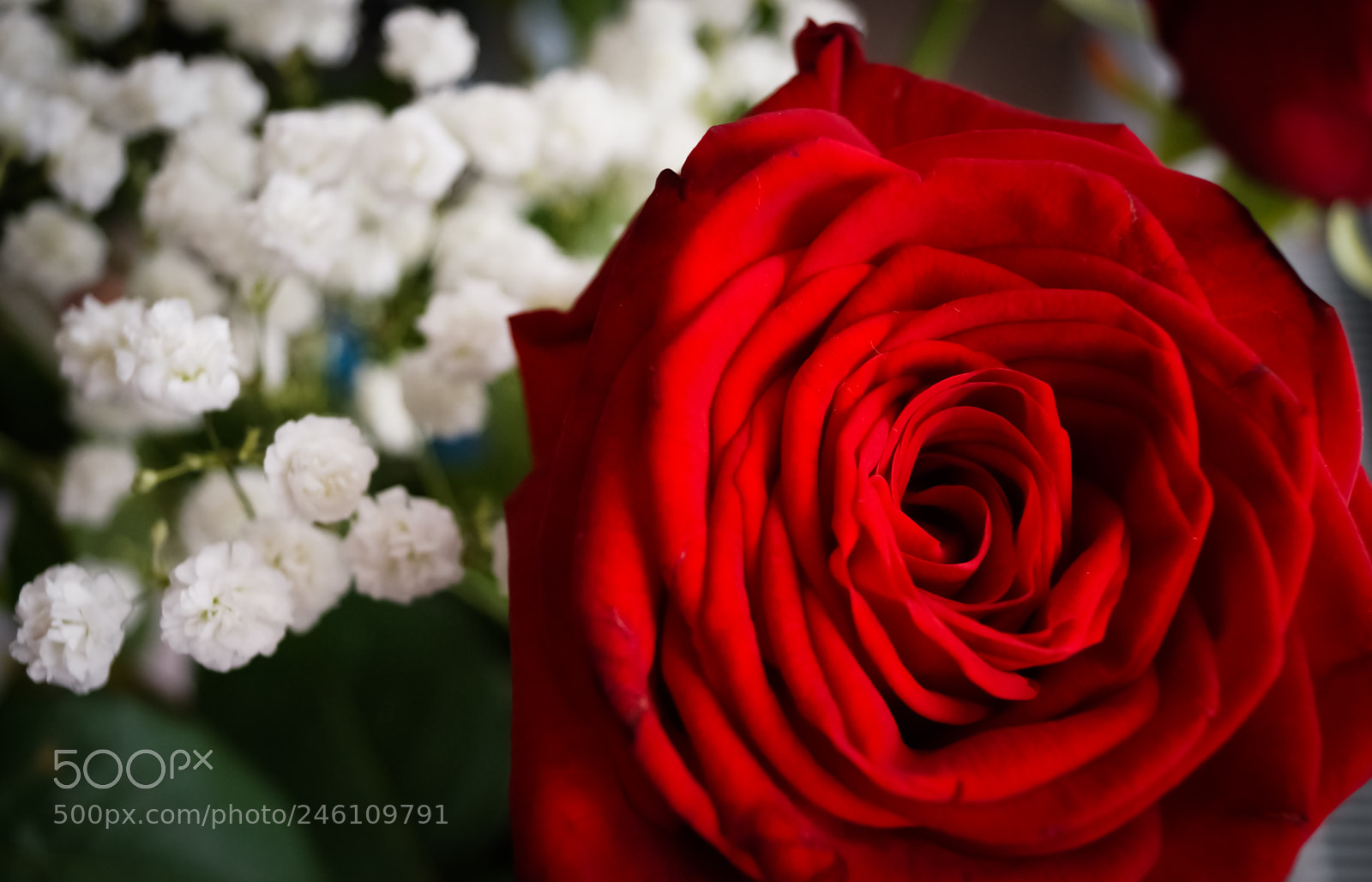 Sony SLT-A65 (SLT-A65V) sample photo. Valentine photography