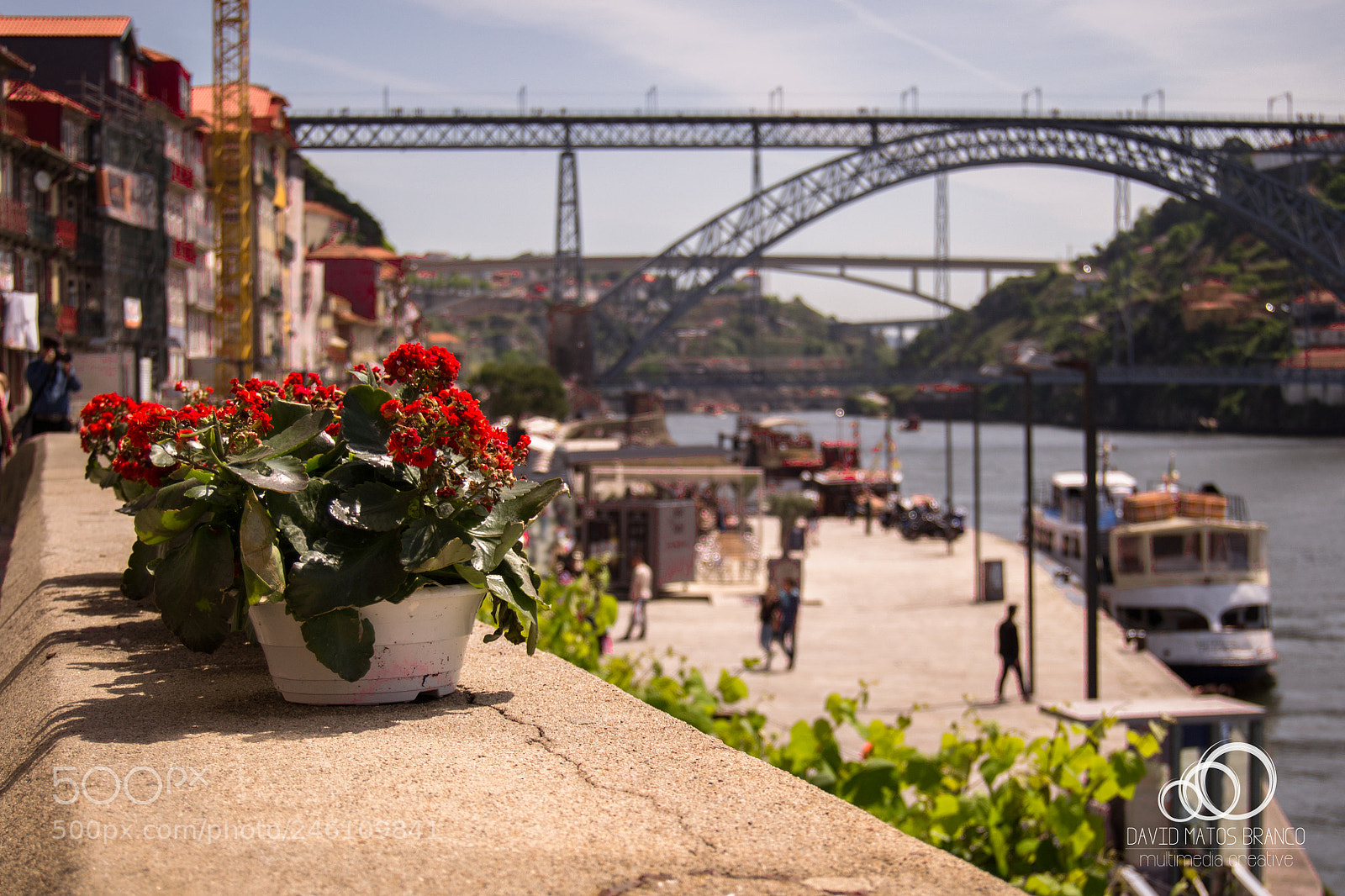 Nikon D3100 sample photo. D. luis bridge and photography