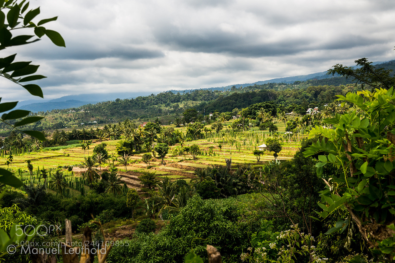 Sony Alpha NEX-6 sample photo. Senaru rice fields photography