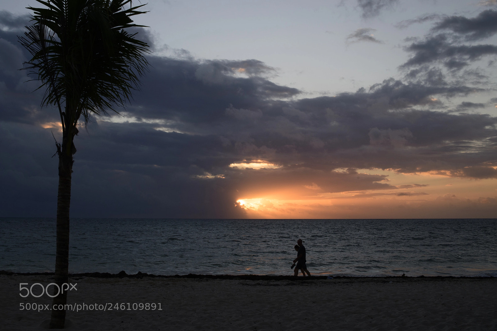 Nikon D850 sample photo. Sunrise stroll photography
