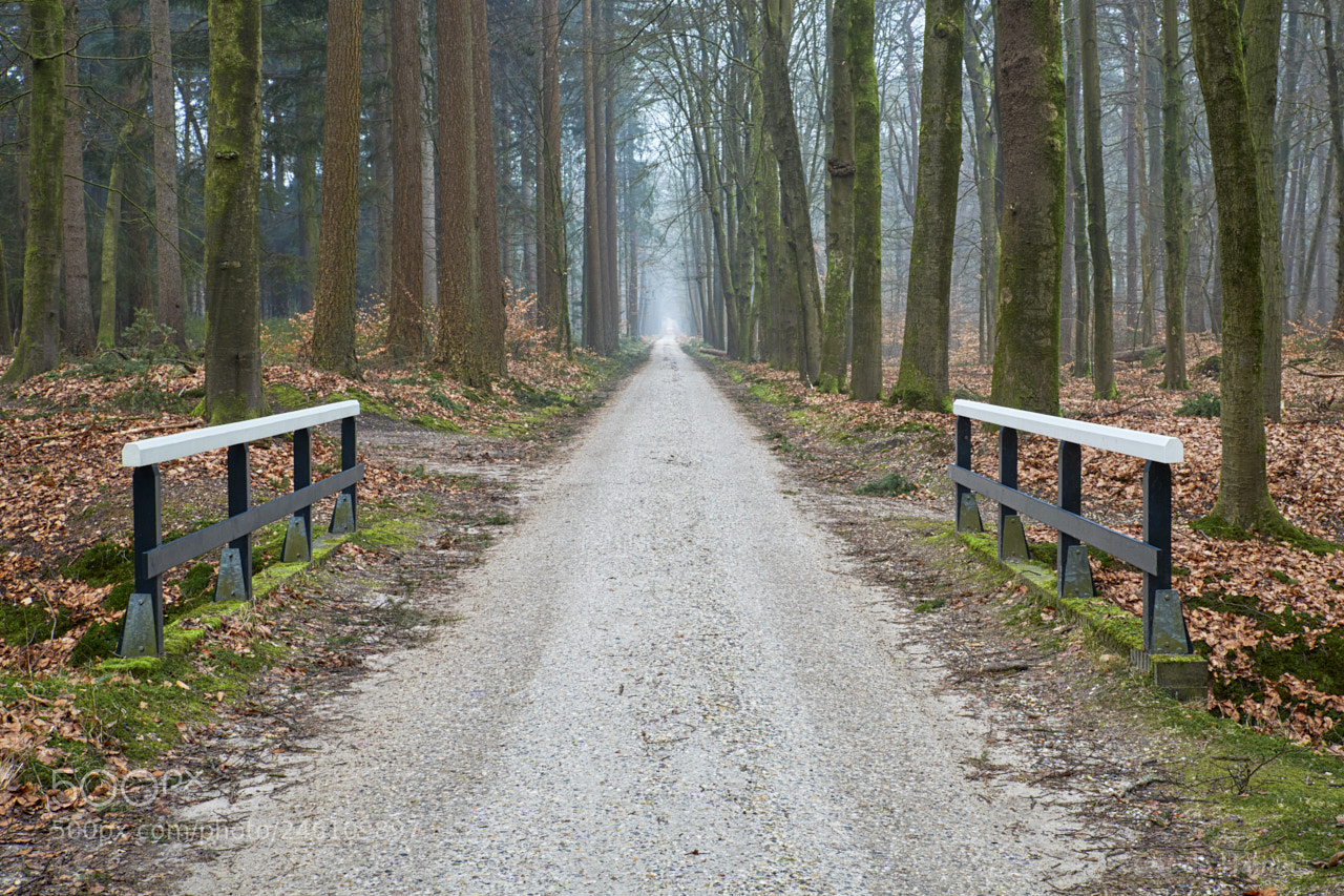 Sony SLT-A99V sample photo. Straight road through the photography