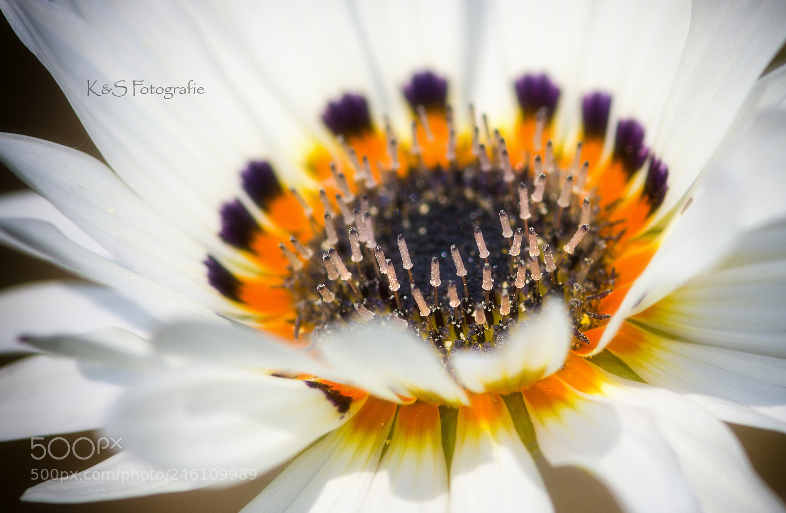Nikon D810 sample photo. Coming soon... photography