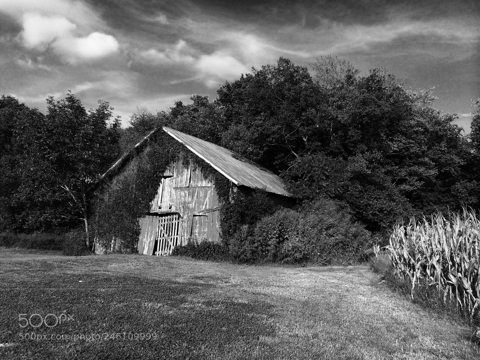 Apple iPhone 5s sample photo. Tennessee homestead photography