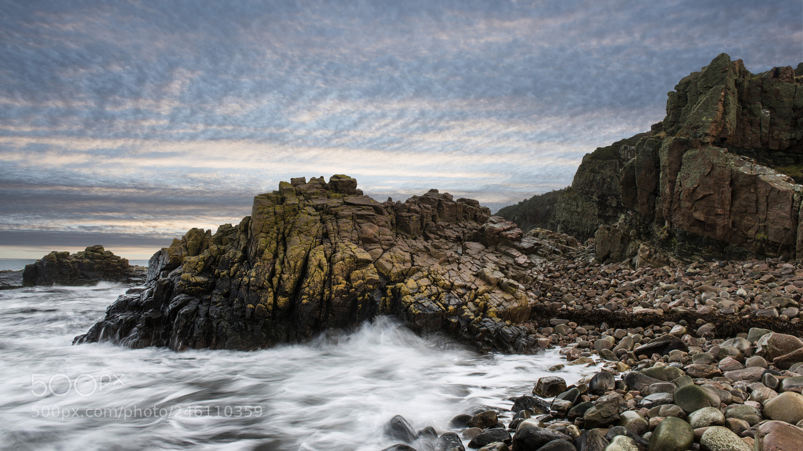 Nikon D810 sample photo. Hovs hallar, sweden photography