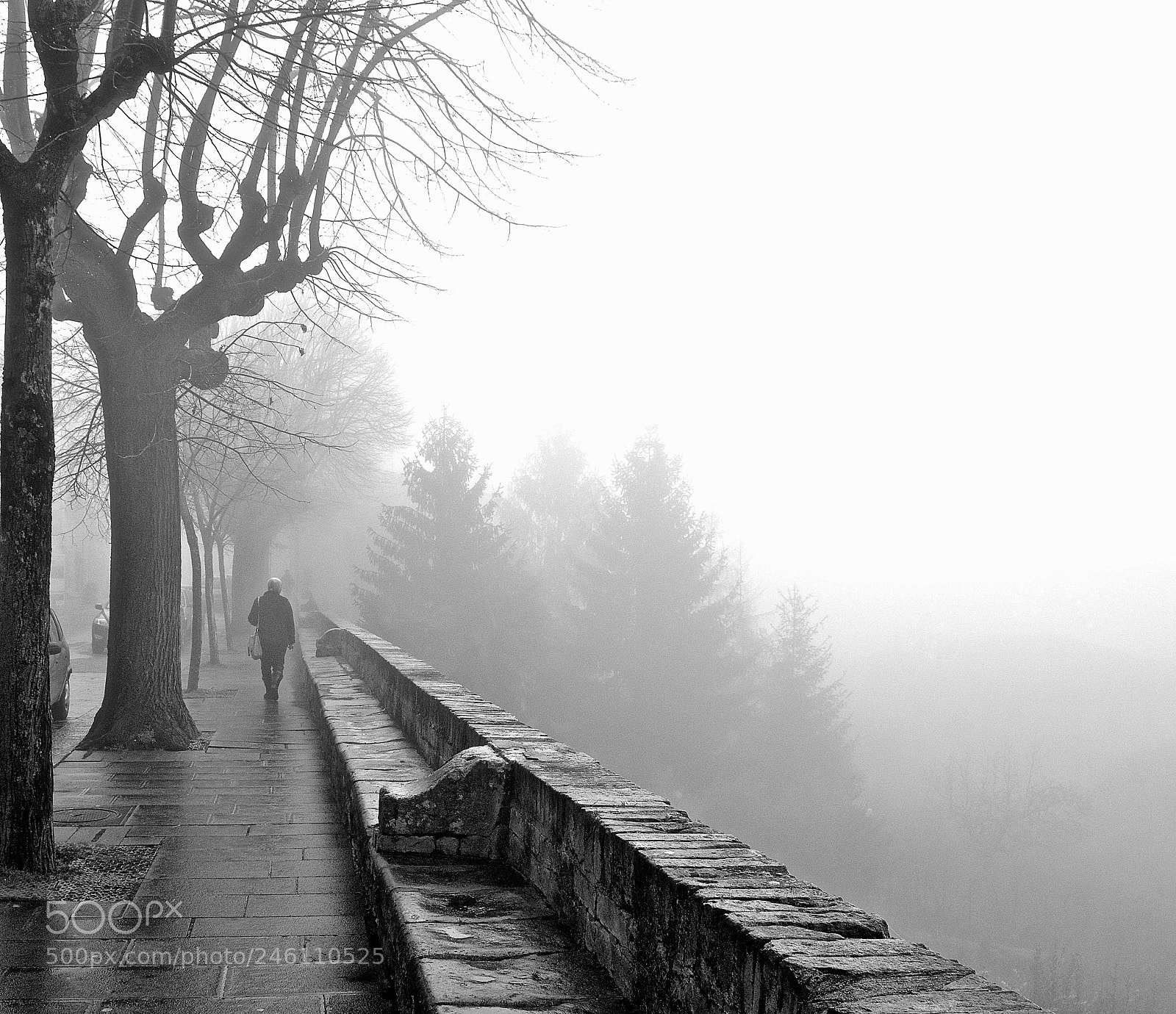 Nikon D3200 sample photo. Fog photography