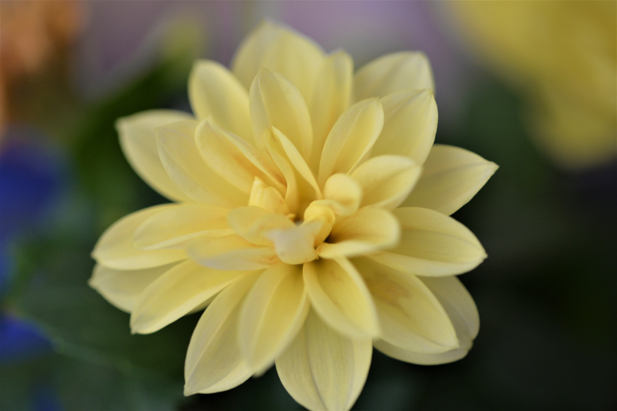 Sigma 105mm F2.8 EX DG OS HSM sample photo