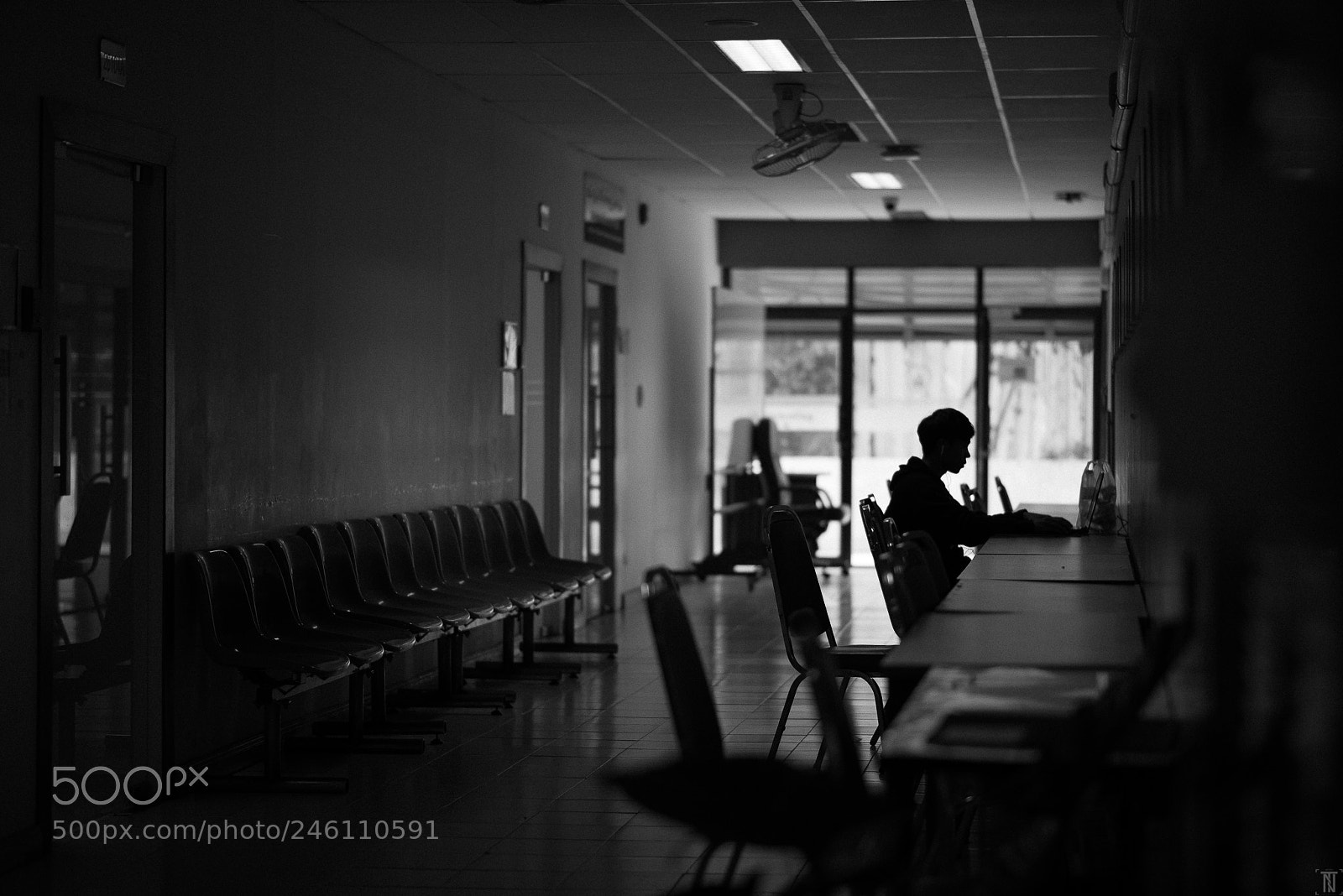Nikon D810 sample photo. Lonely valentine photography