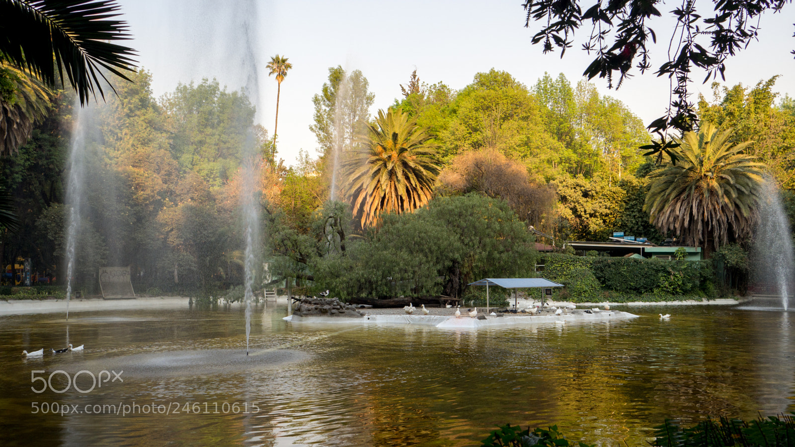 Olympus OM-D E-M10 sample photo. Parque méxico photography