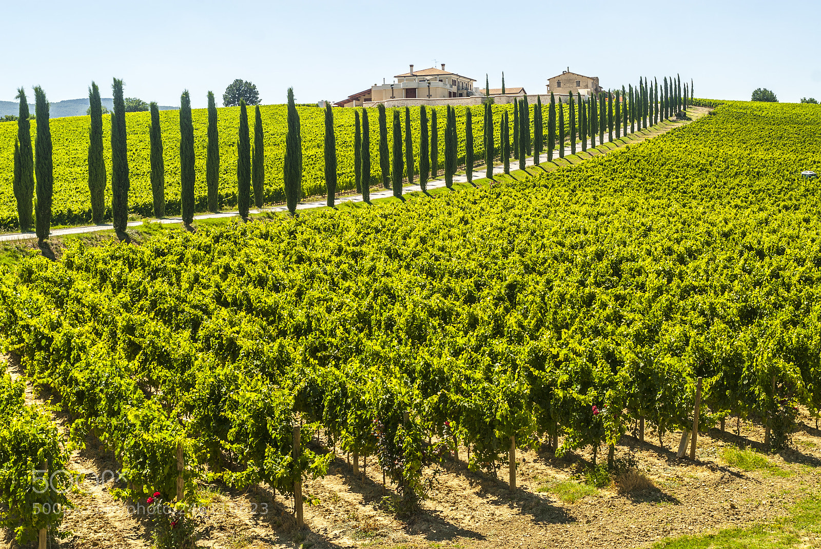 Nikon D200 sample photo. Umbria - farm with photography