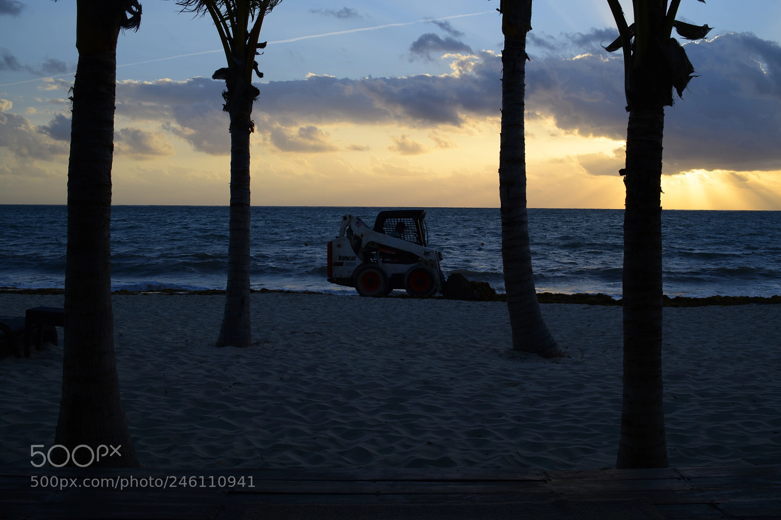 Nikon D850 sample photo. Beach cleaner photography