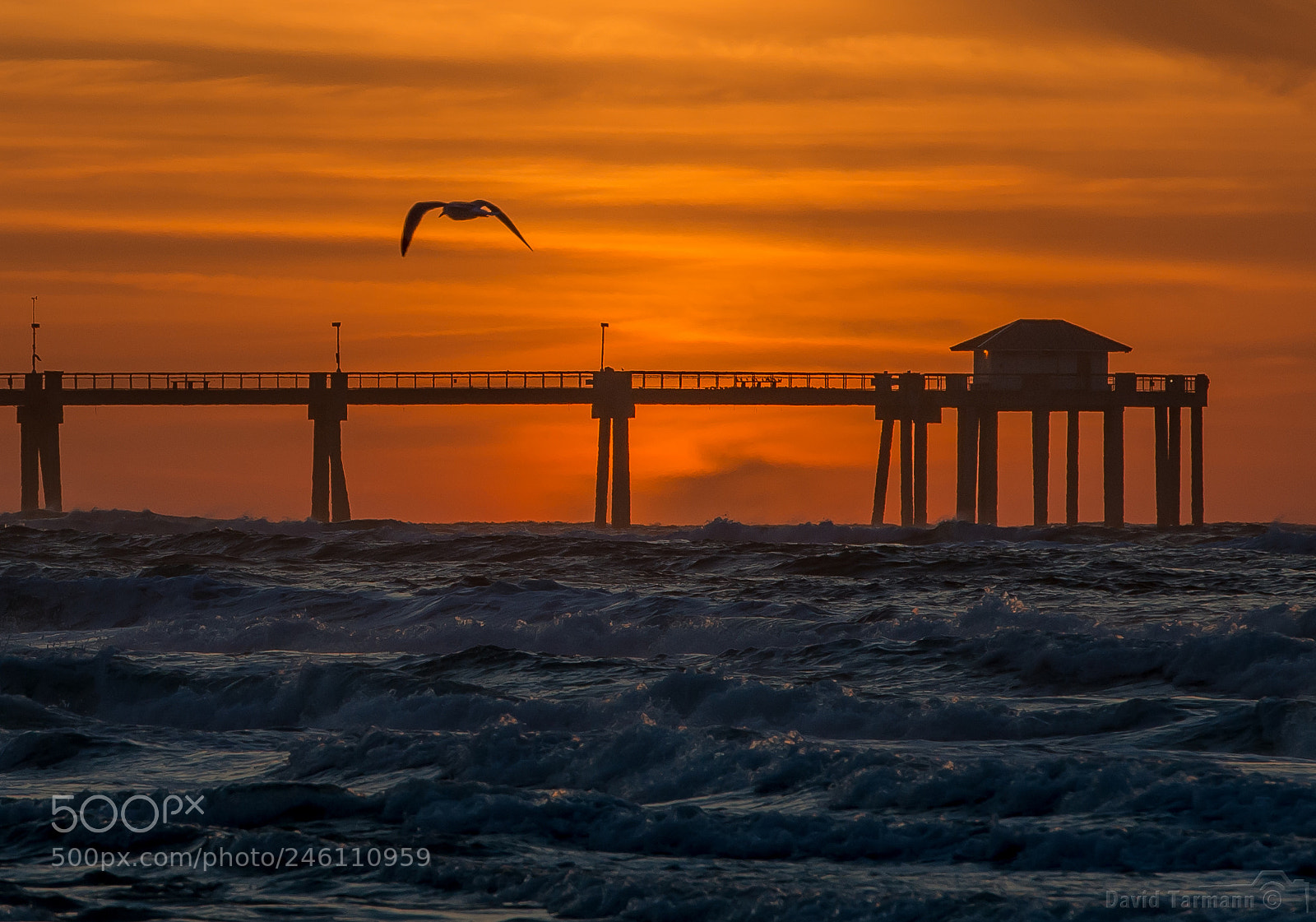 Nikon D800 sample photo. Sunrise photography