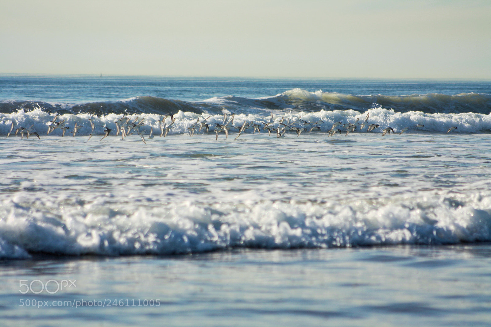 Canon EOS 1000D (EOS Digital Rebel XS / EOS Kiss F) sample photo. (beach day) photography