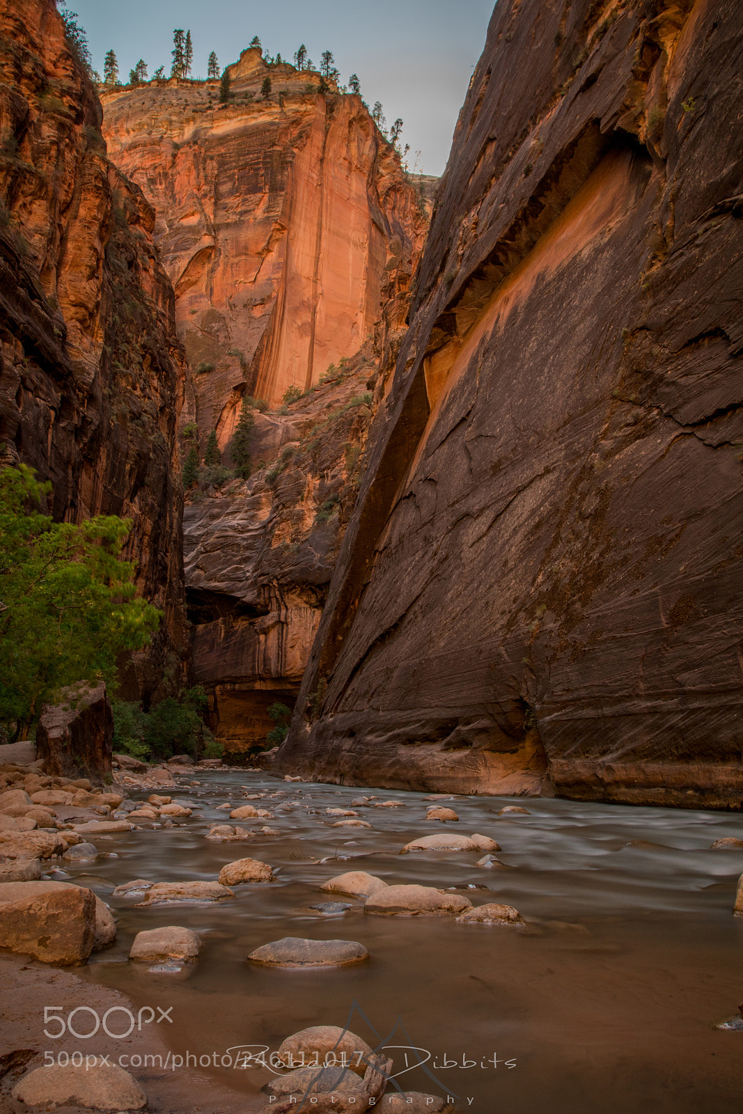 Canon EOS 80D sample photo. Hiking the narrows photography