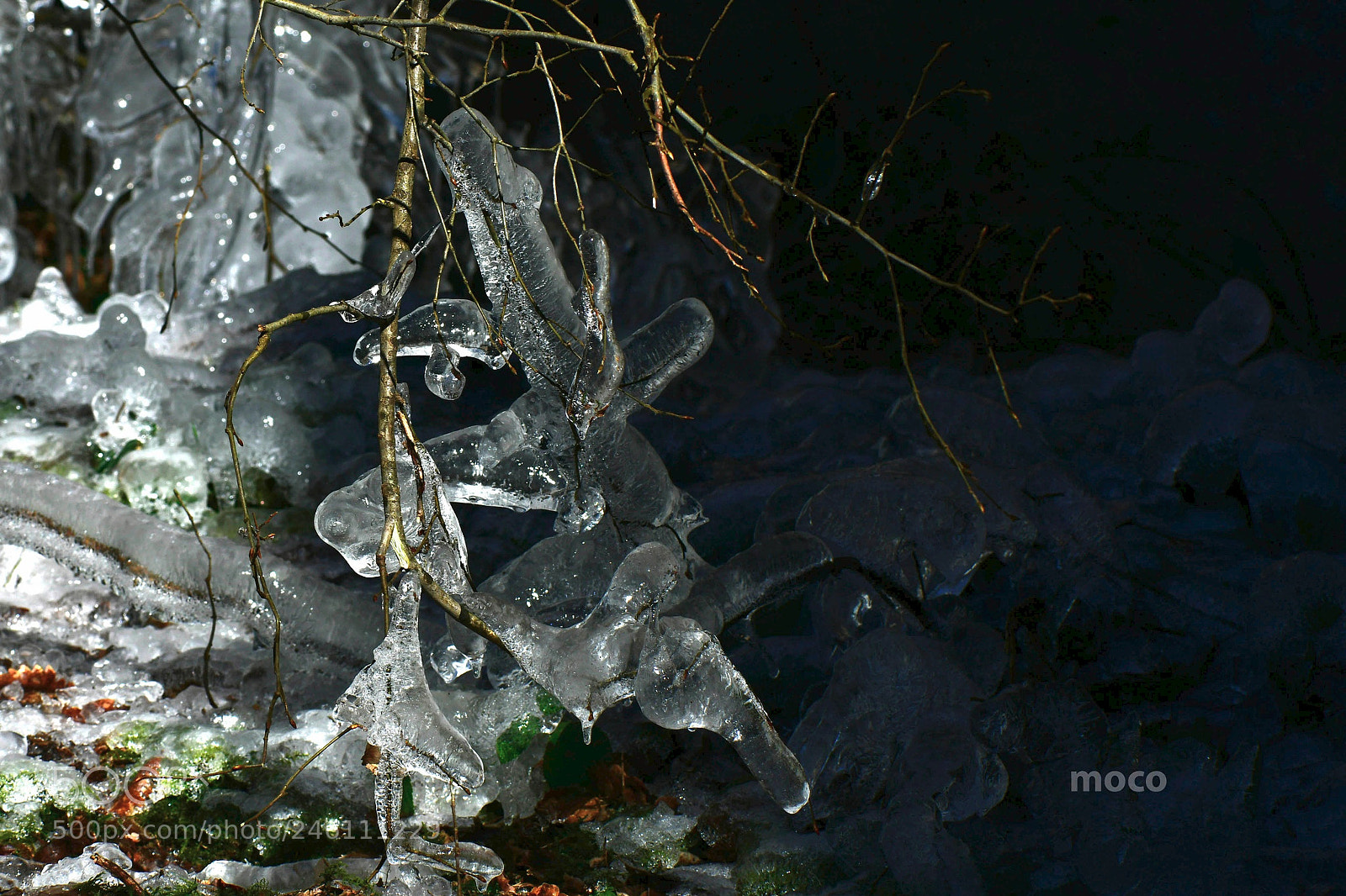 Nikon D500 sample photo. Icicles photography