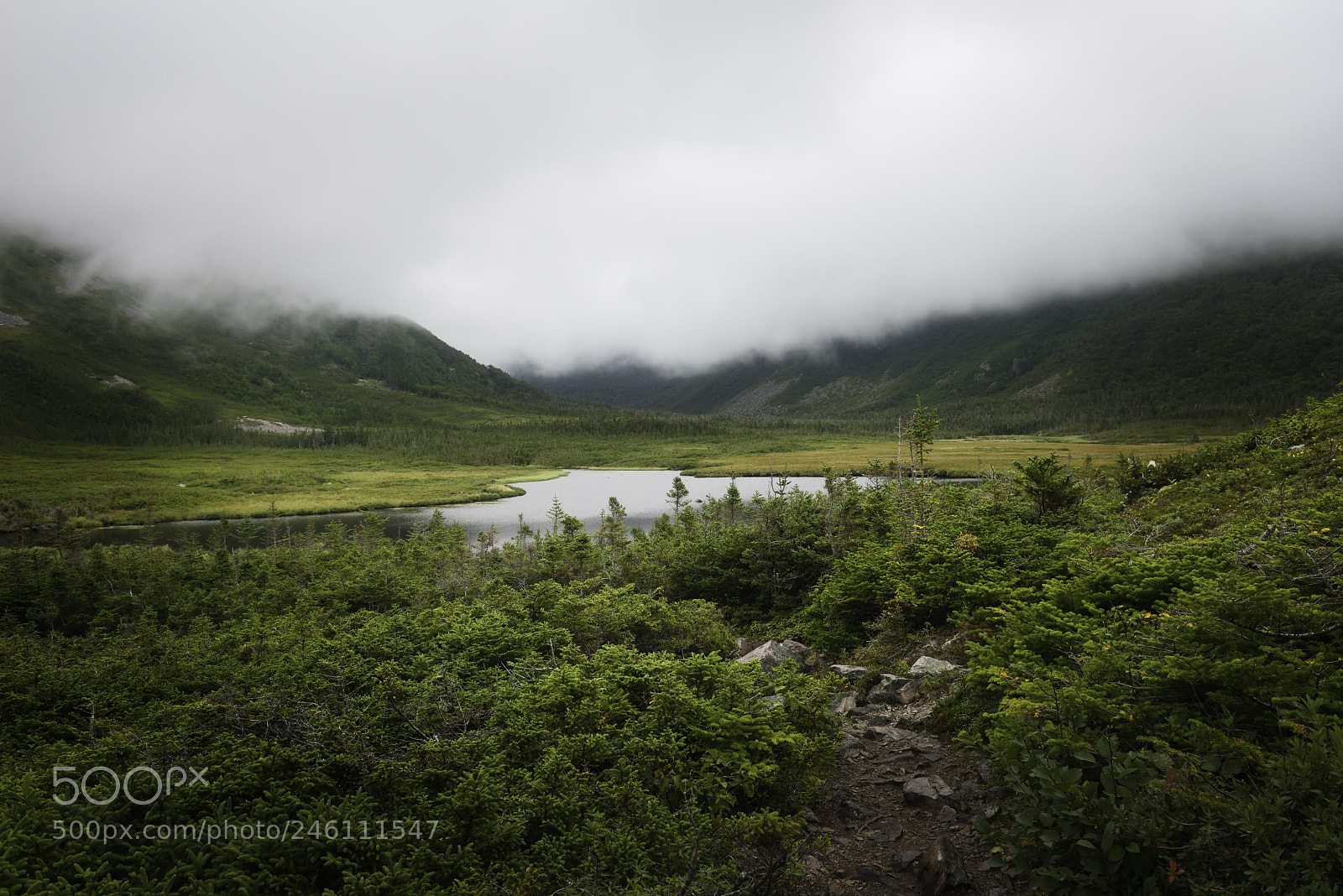 Nikon D810 sample photo. Base of gros morne photography