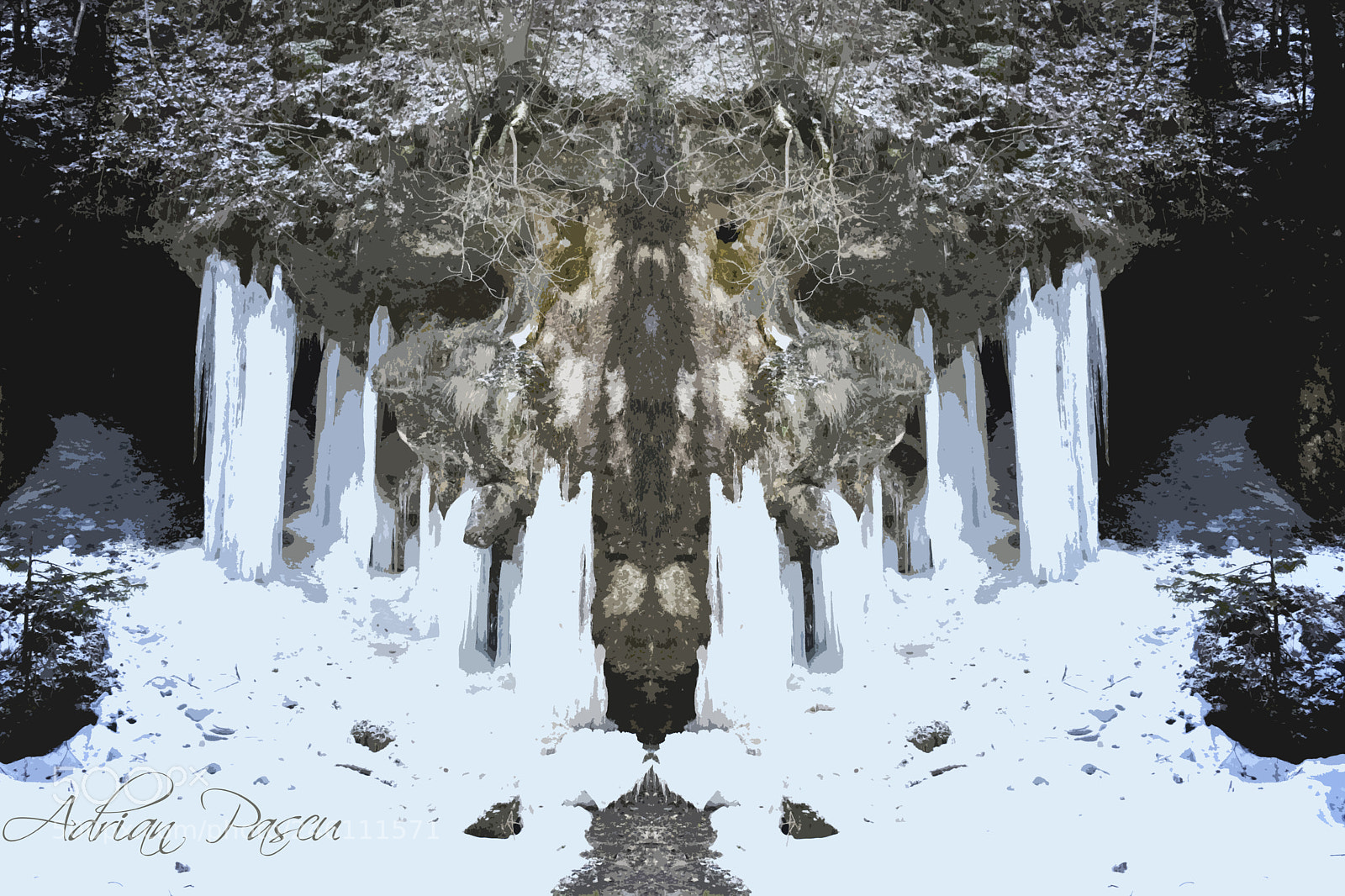 Nikon D3400 sample photo. Icy spikes photography