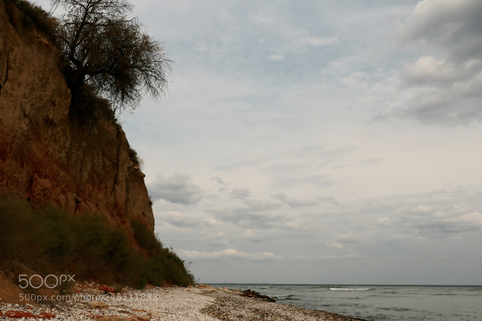 Canon EOS 750D (EOS Rebel T6i / EOS Kiss X8i) sample photo. Untitled photography