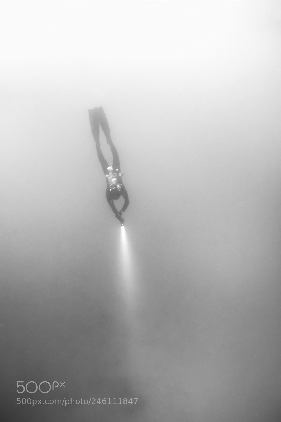 Nikon D3 sample photo. Dive in photography